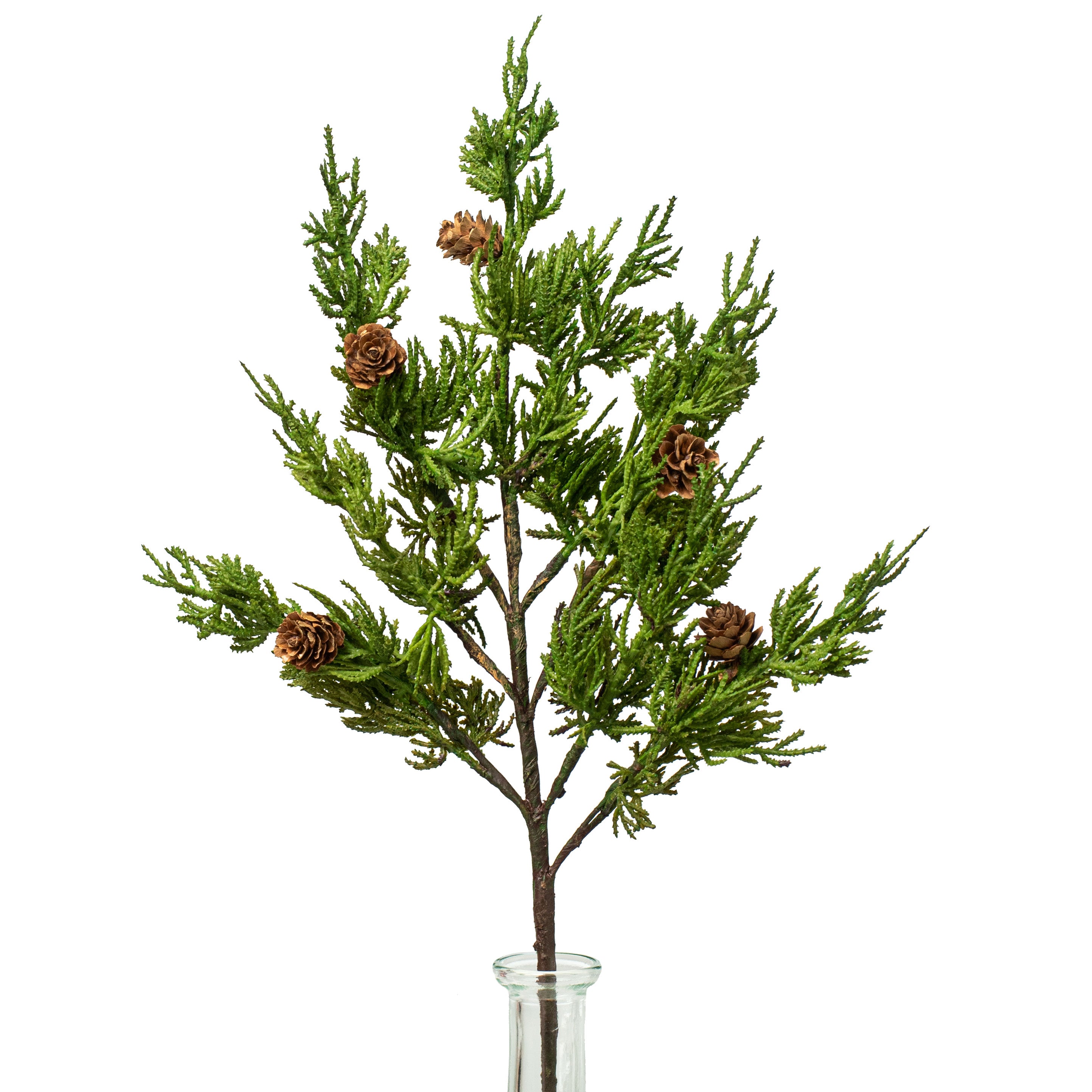 21" Cypress Pine With Pinecone Spray Item Number: 2830116GR