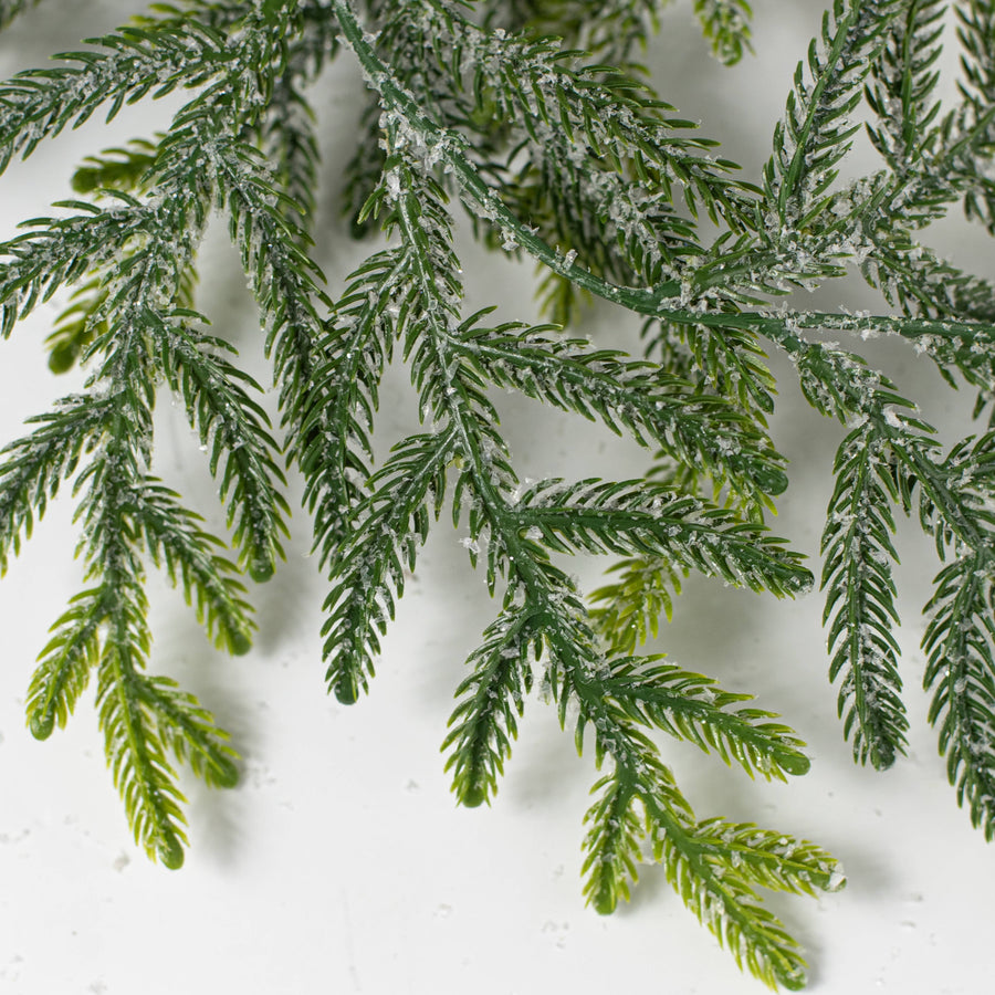 6' Frosted Value Northfolk Pine Garland