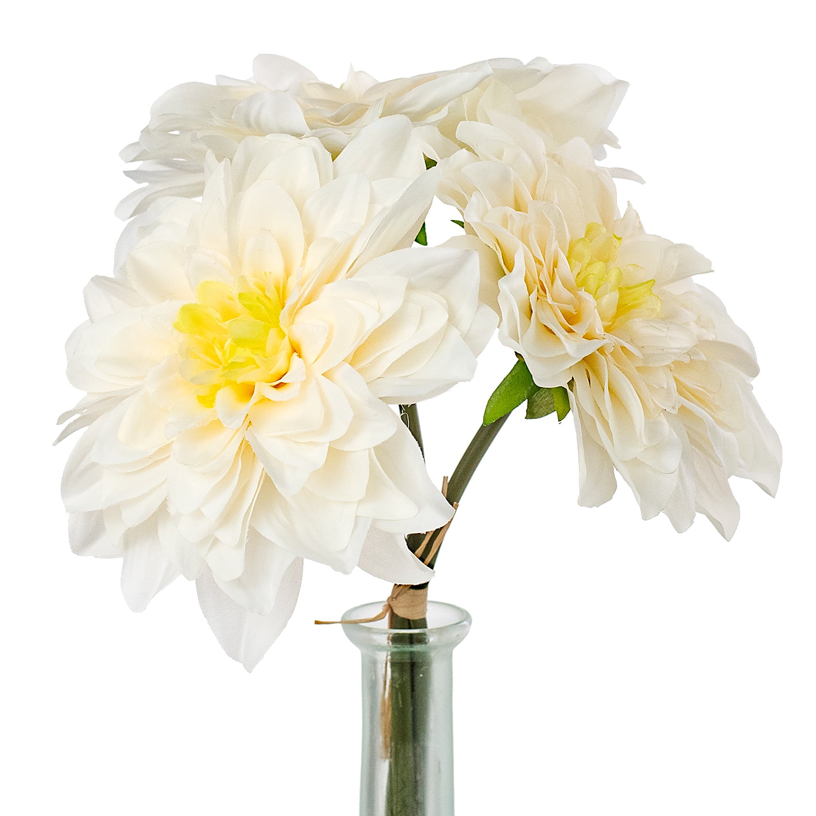 10" Dahlia Bundle: Cream Item Number: 2225034CR