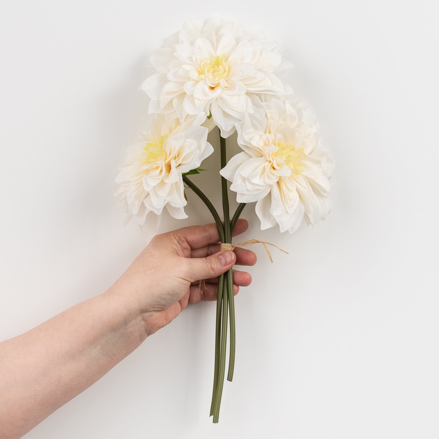 10" Dahlia Bundle: Cream detail photo 3