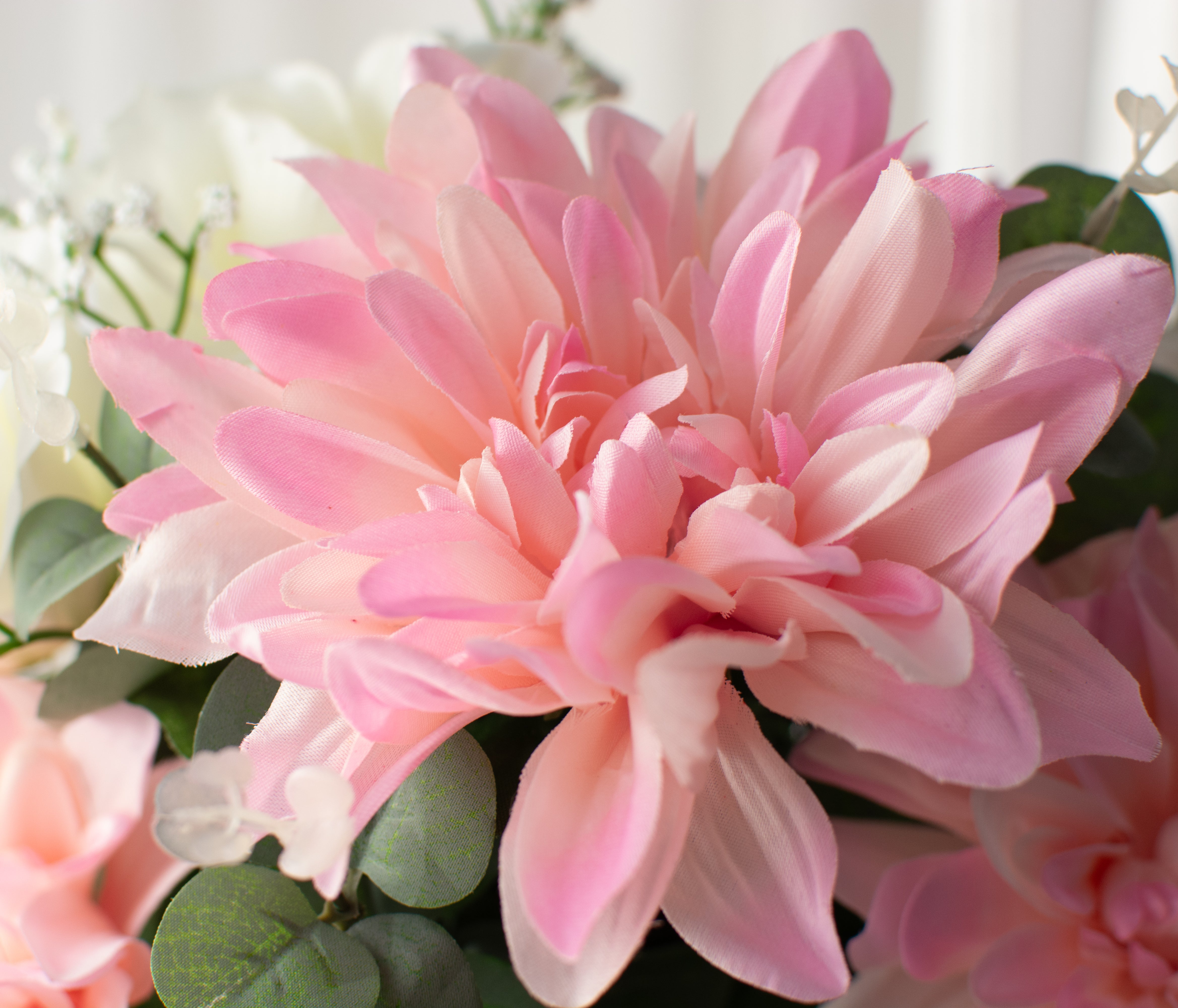 23" Dahlia Rose Bush: Pink & Cream Lifestyle Photo