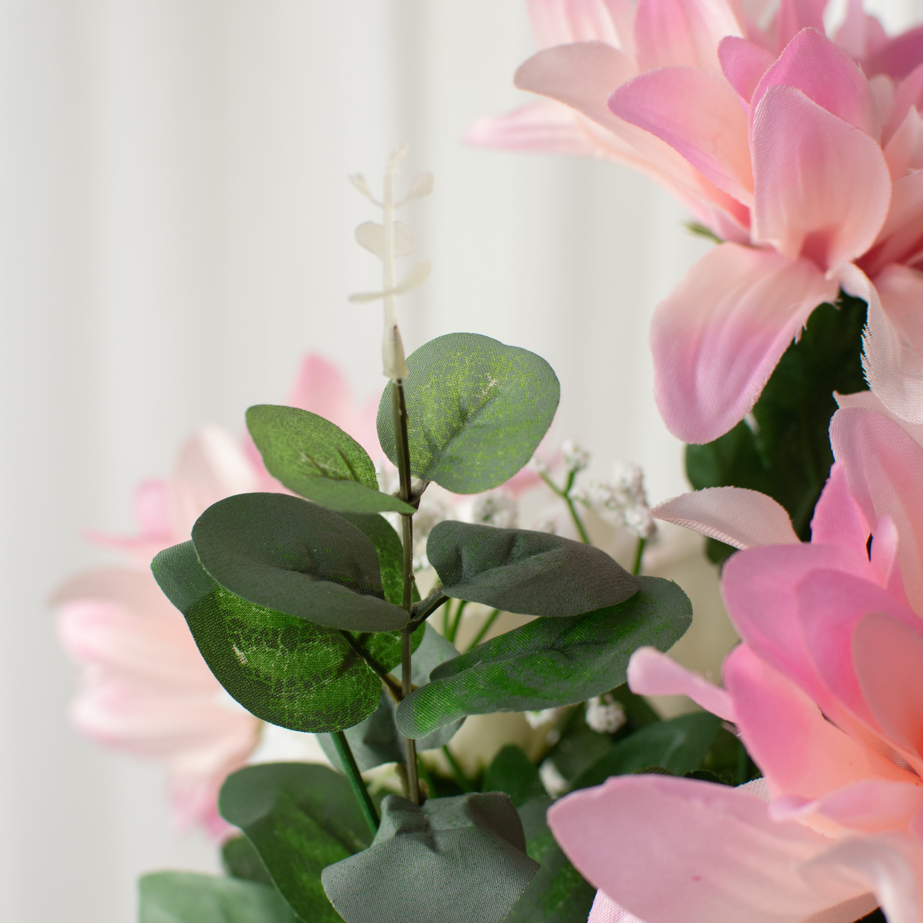 23" Dahlia Rose Bush: Pink & Cream detail photo 5