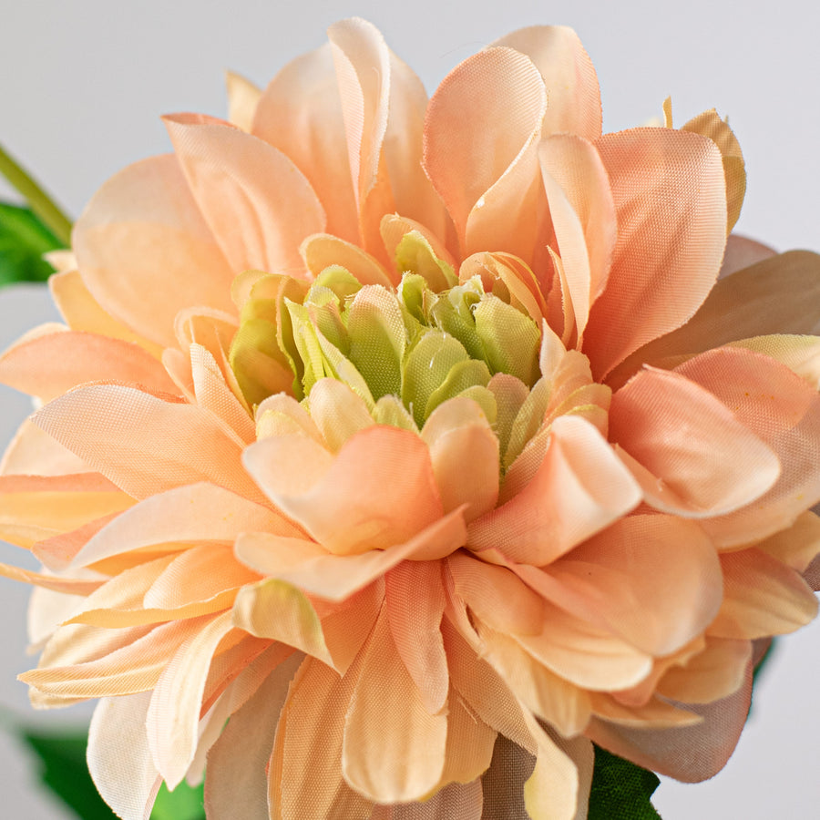 25" Dahlias Stem: Light Coral Lifestyle Photo