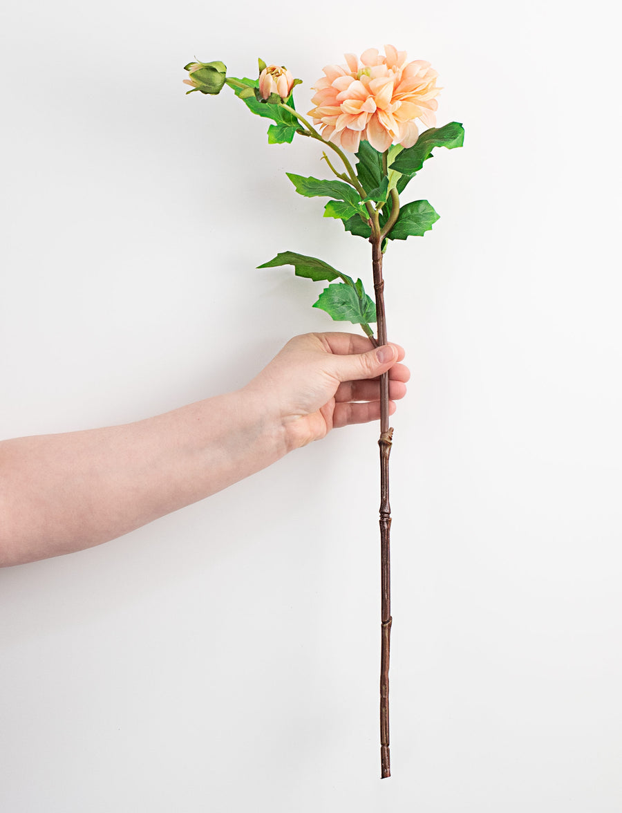 25" Dahlias Stem: Light Coral detail photo 3