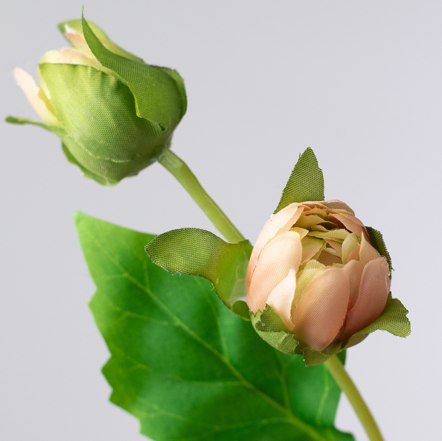 25