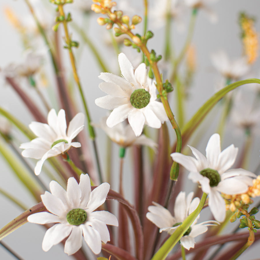 18" Daisy Filler Bush: Cream Lifestyle Photo