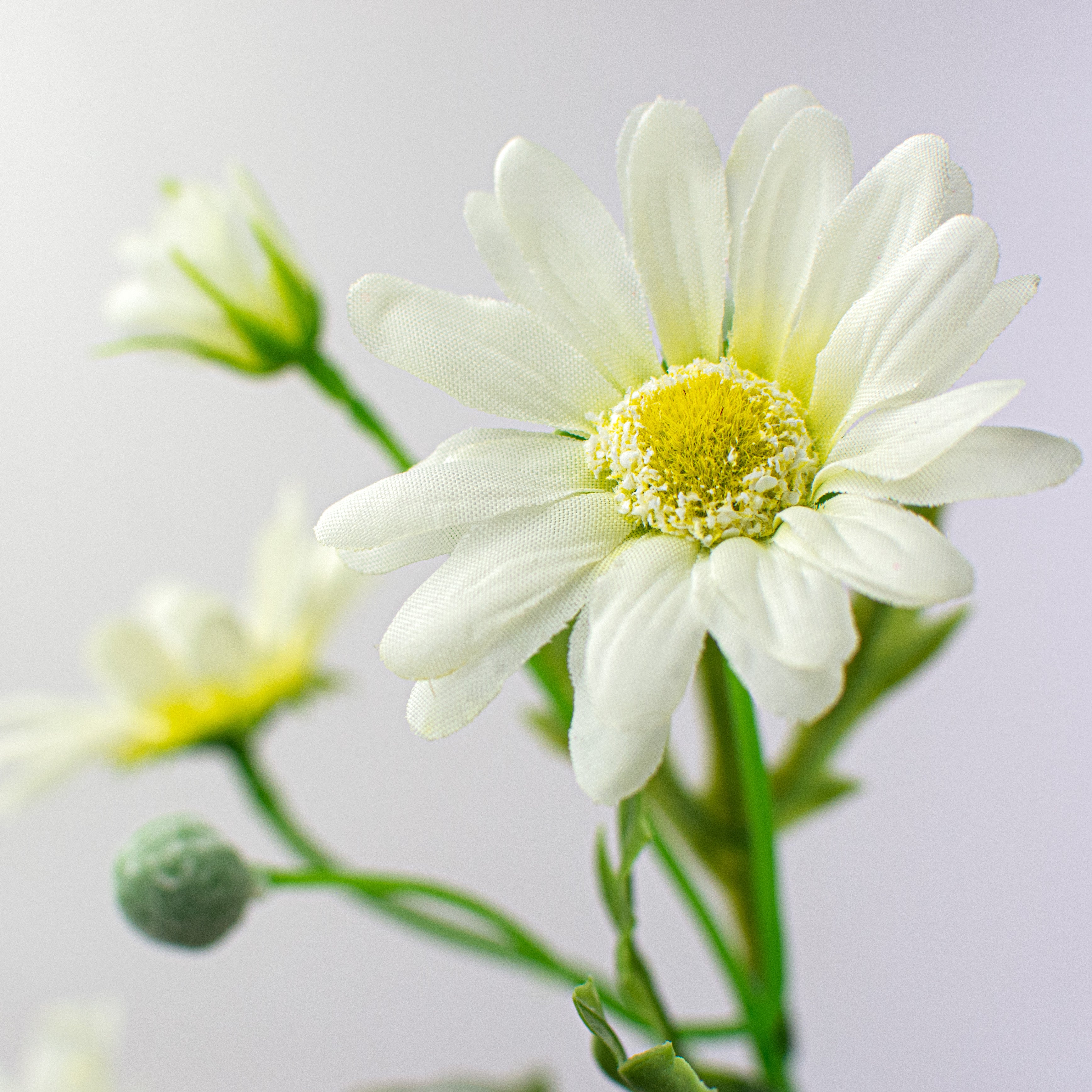 21" Daisy Spray: Cream Lifestyle Photo