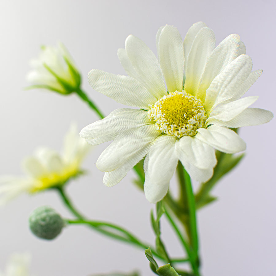 21" Daisy Spray: Cream Lifestyle Photo