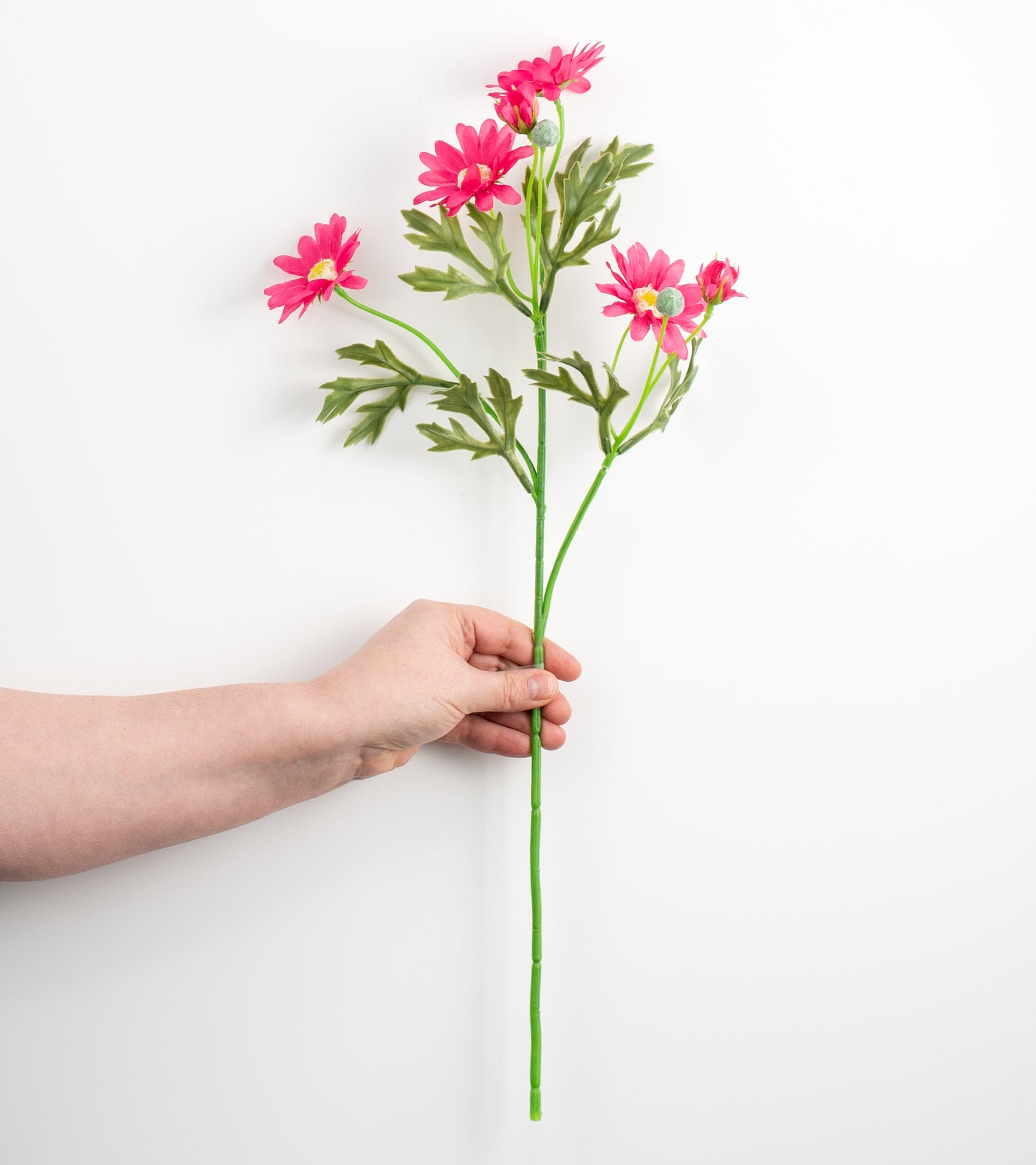21" Daisy Spray: Fuchsia Pink detail photo 3