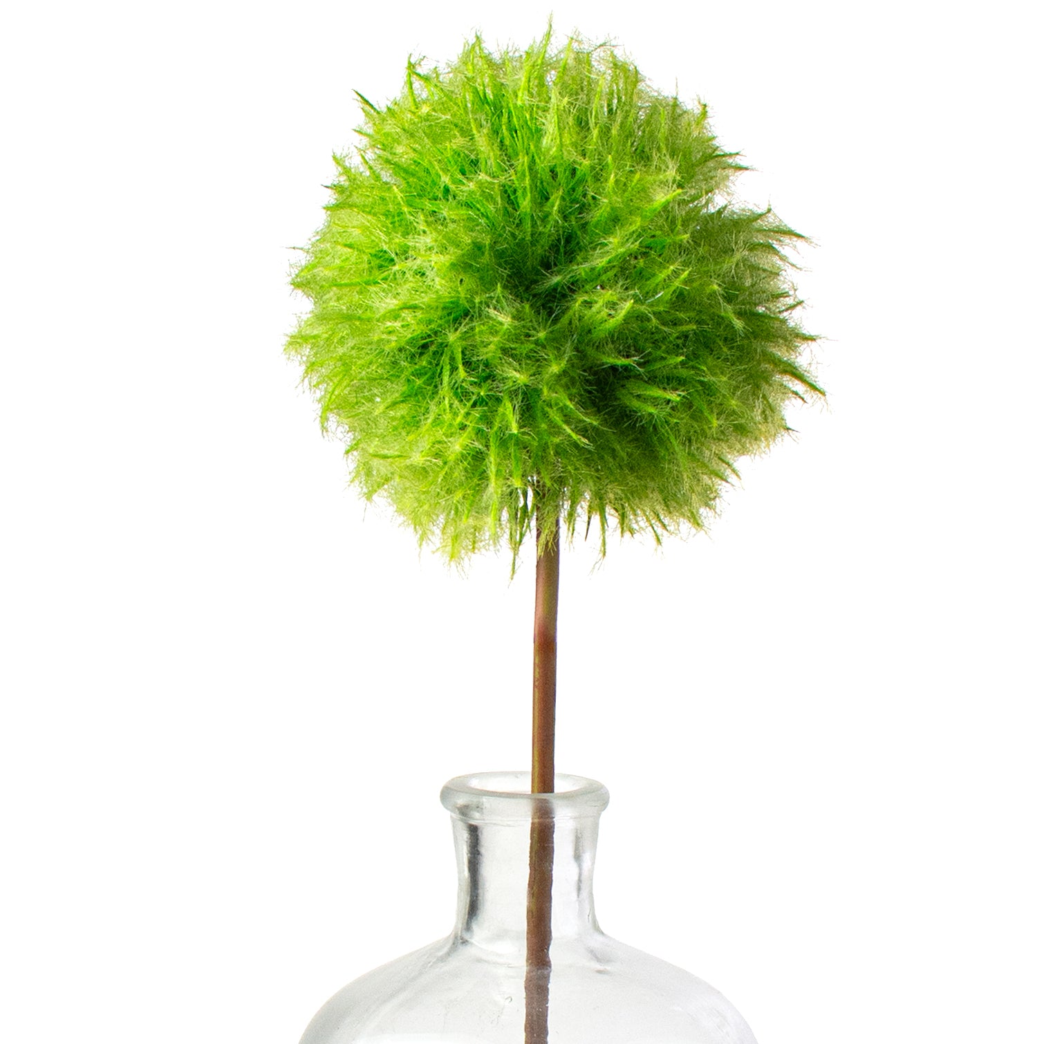 25'' Dandelion Seed Head Stem: Green Item Number: 2150147GR