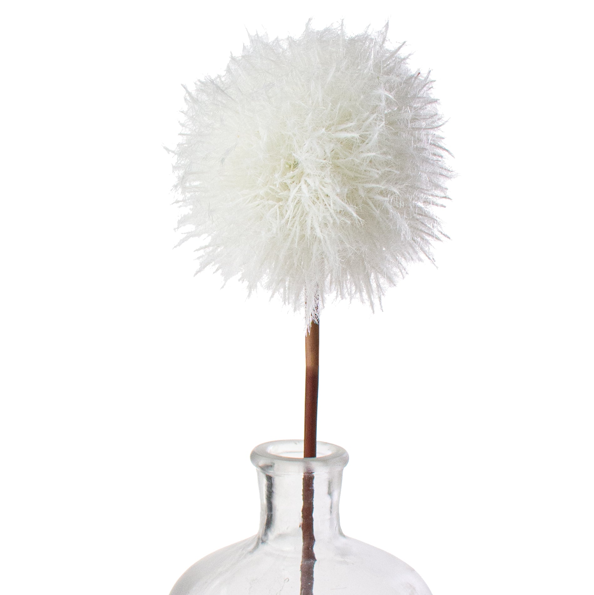 25'' Dandelion Seed Head Stem: White Item Number: 2150147WH