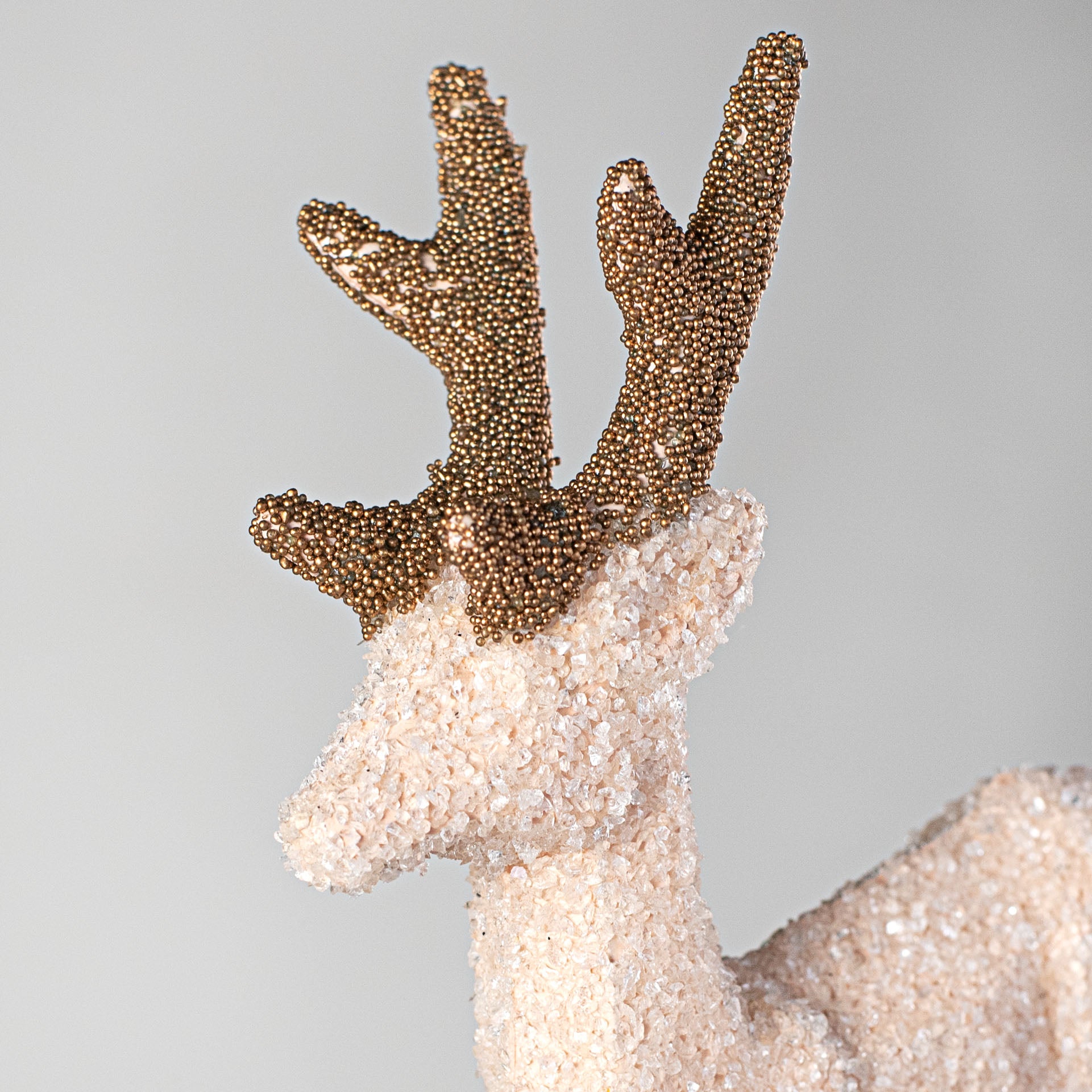 8" Deer Decoration: Champagne detail photo 3