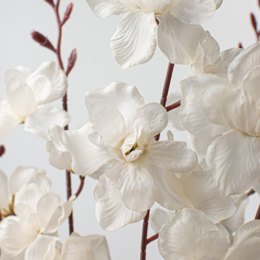 25" Delphinium Bush: Cream Lifestyle Photo