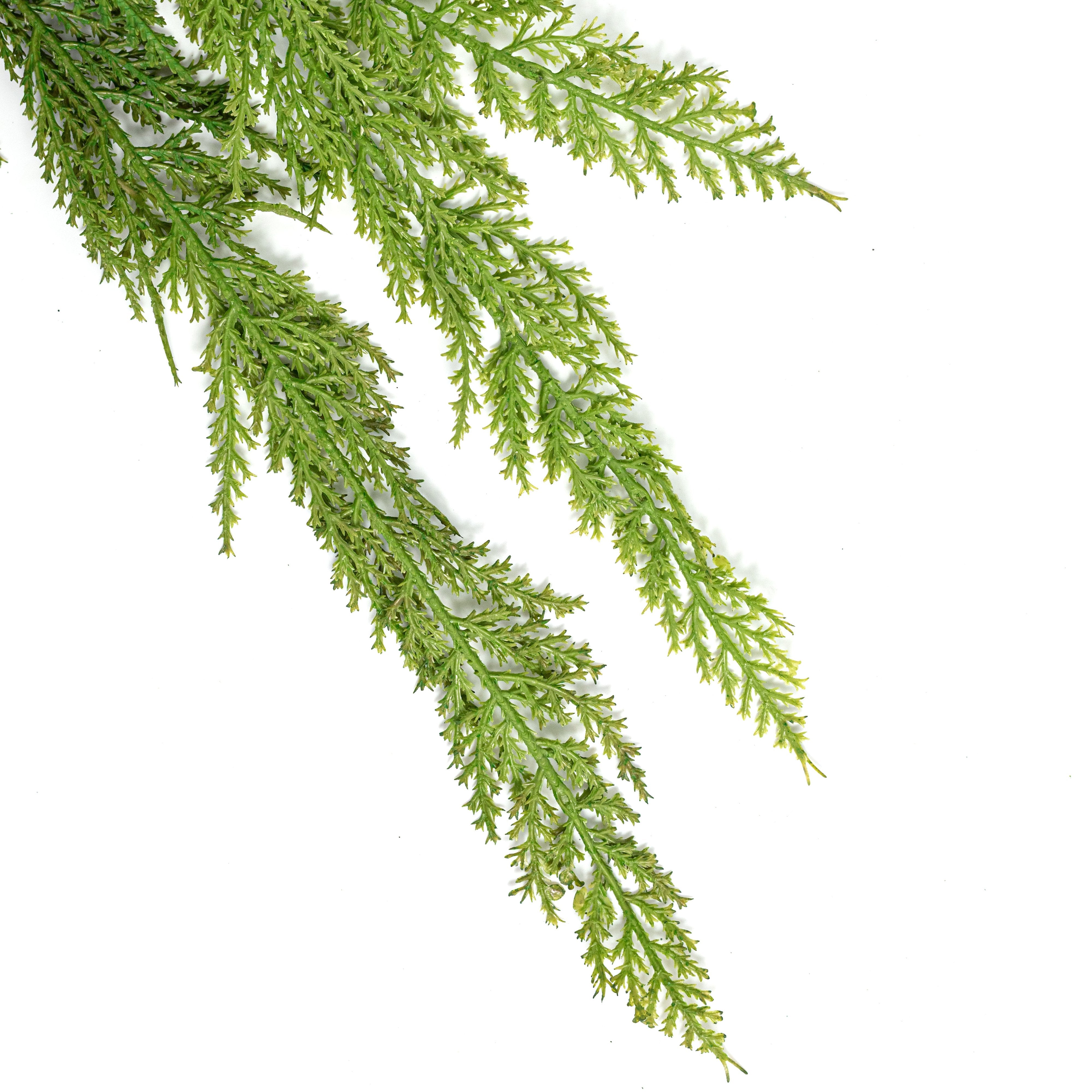 6' Deluxe Double Soft Cedar Garland detail photo 3