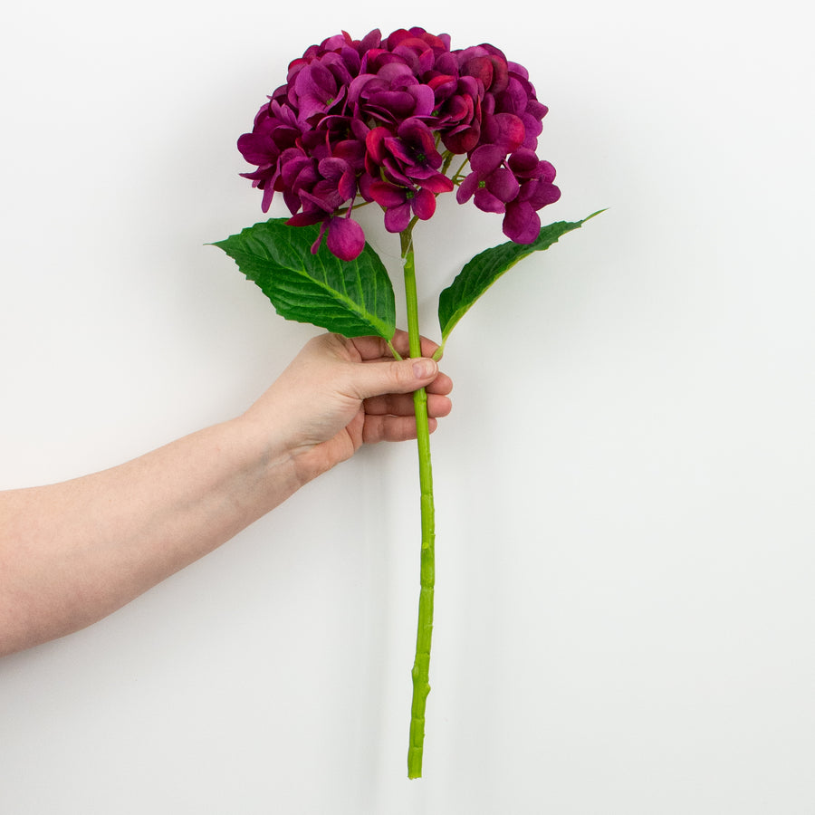 19" Deluxe Mophead Hydrangea Spray: Fuchsia Pink, Violet detail photo 3