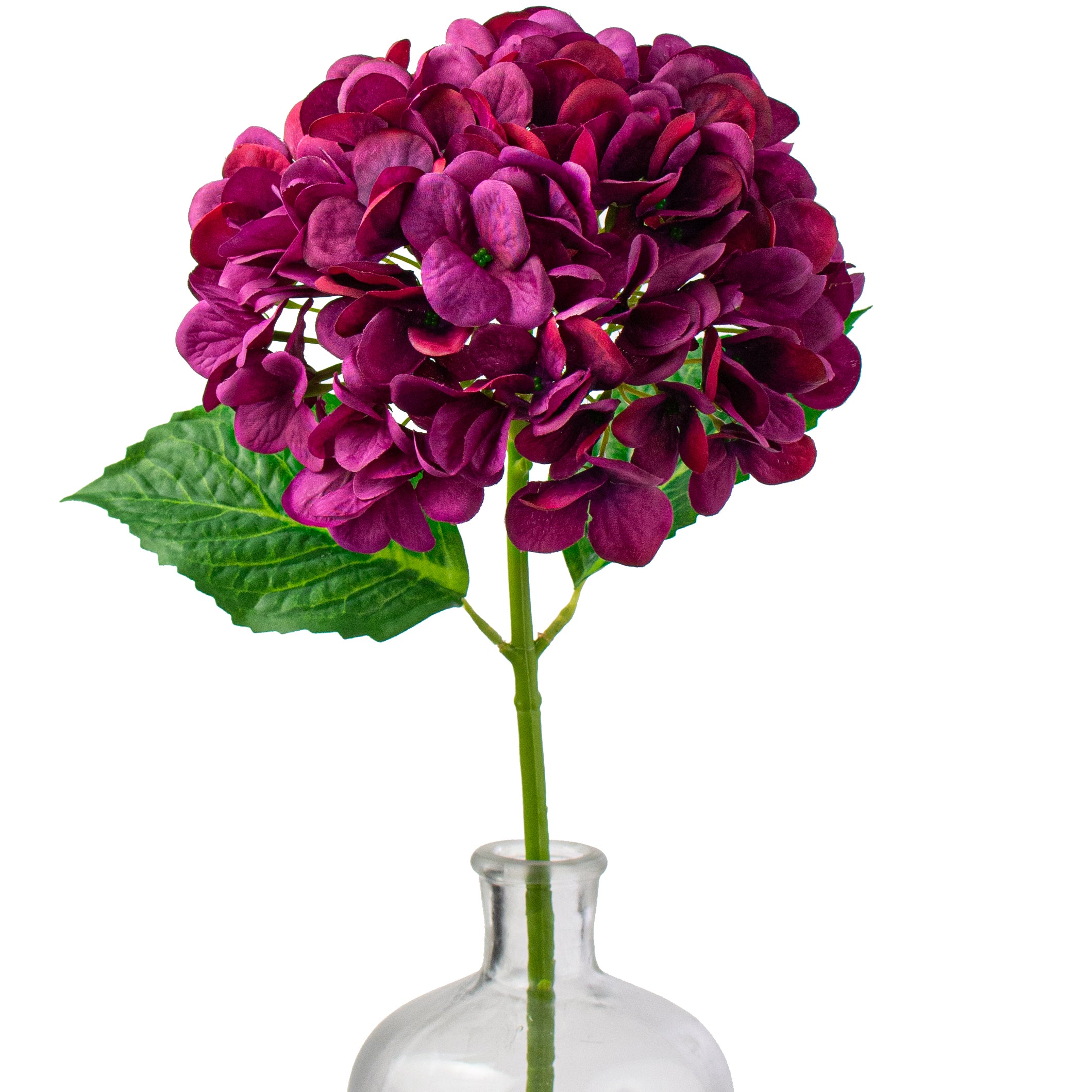 19" Deluxe Mophead Hydrangea Spray: Fuchsia Pink, Violet Item Number: 2255139FU