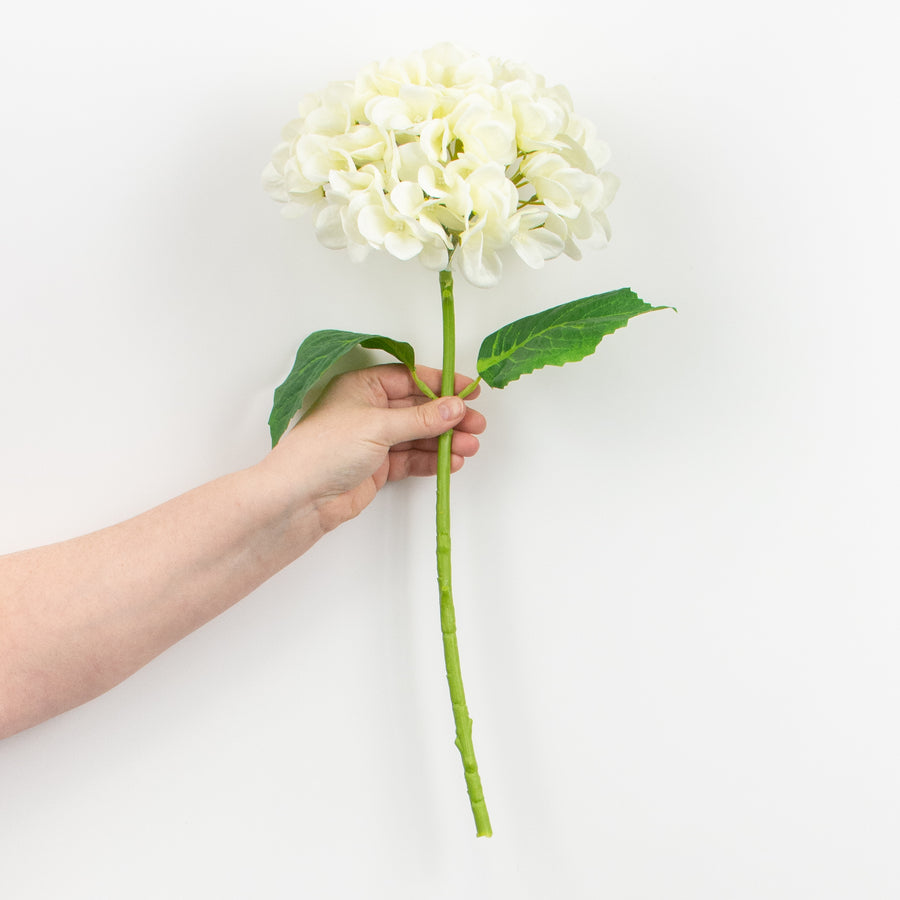 19" Deluxe Mophead Hydrangea Spray: Ivory, Cream detail photo 3