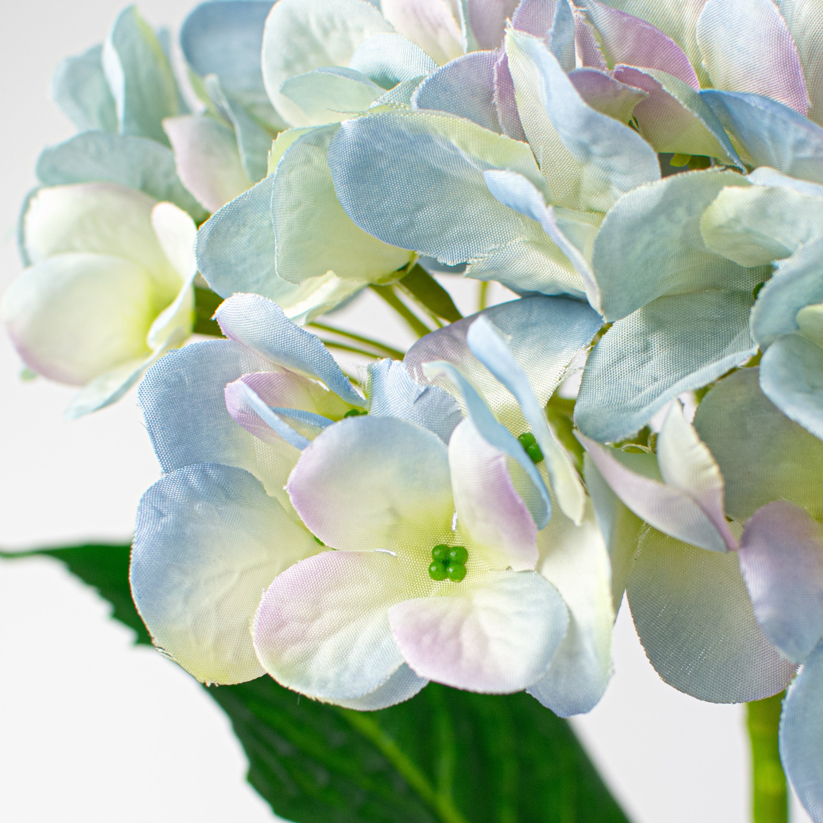 19" Deluxe Mophead Hydrangea Spray: Light Blue, Cream, Lavender Lifestyle Photo