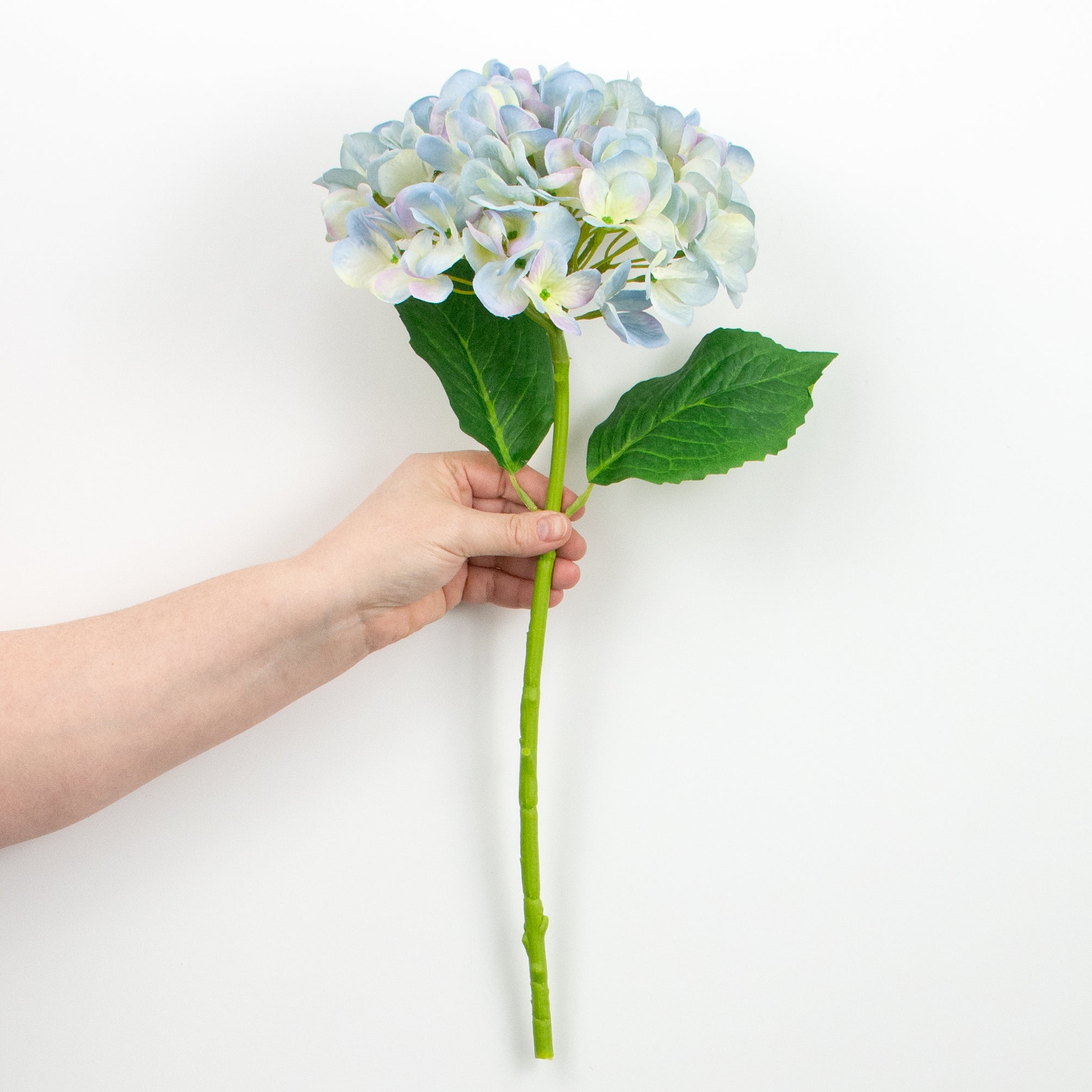 19" Deluxe Mophead Hydrangea Spray: Light Blue, Cream, Lavender detail photo 3