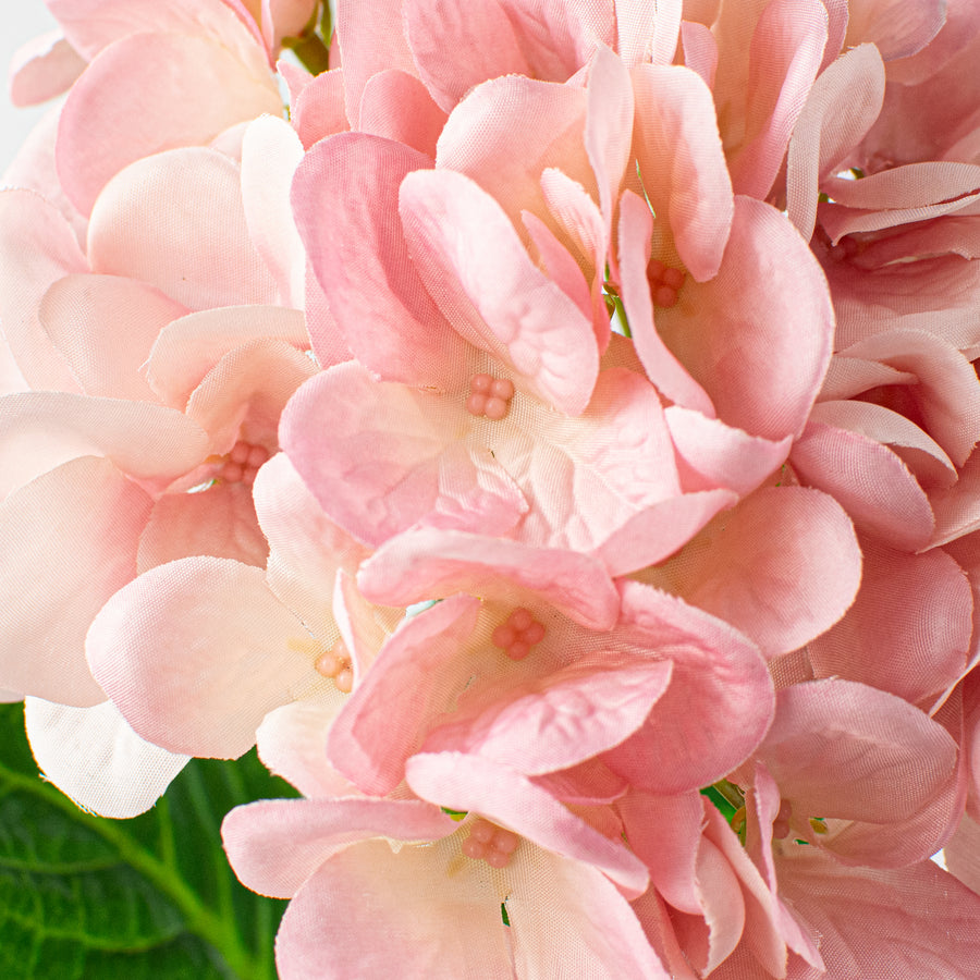 19" Deluxe Mophead Hydrangea Spray: Pink, Cream Lifestyle Photo