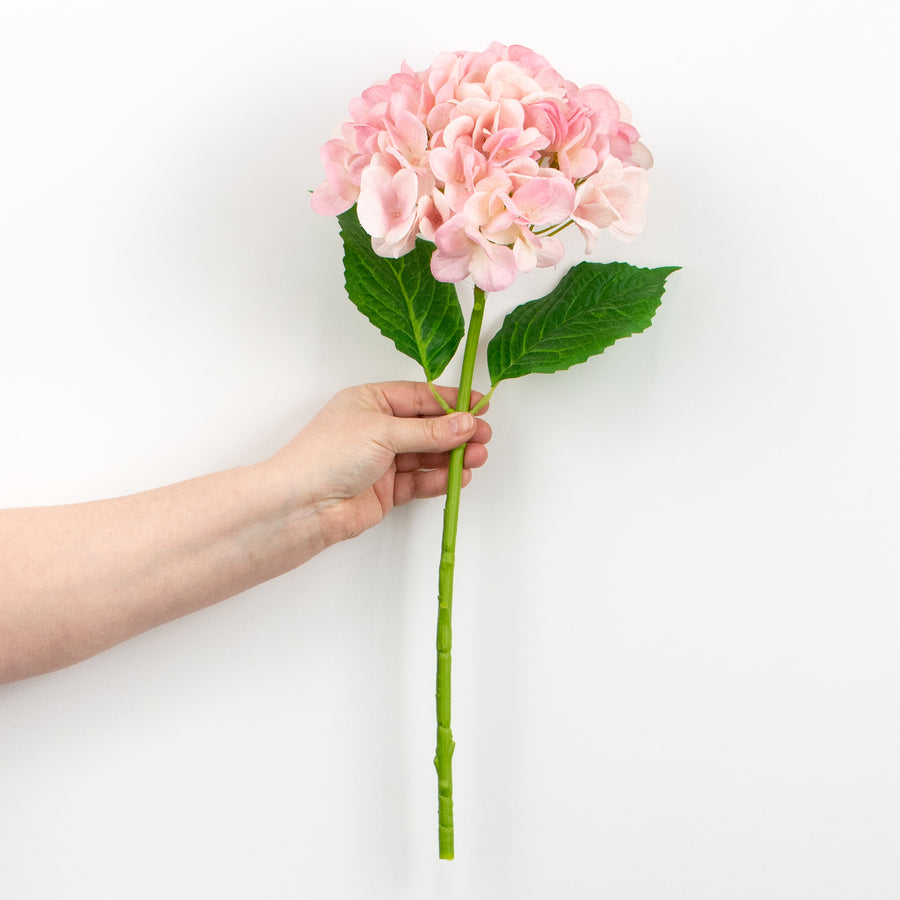 19" Deluxe Mophead Hydrangea Spray: Pink, Cream detail photo 3