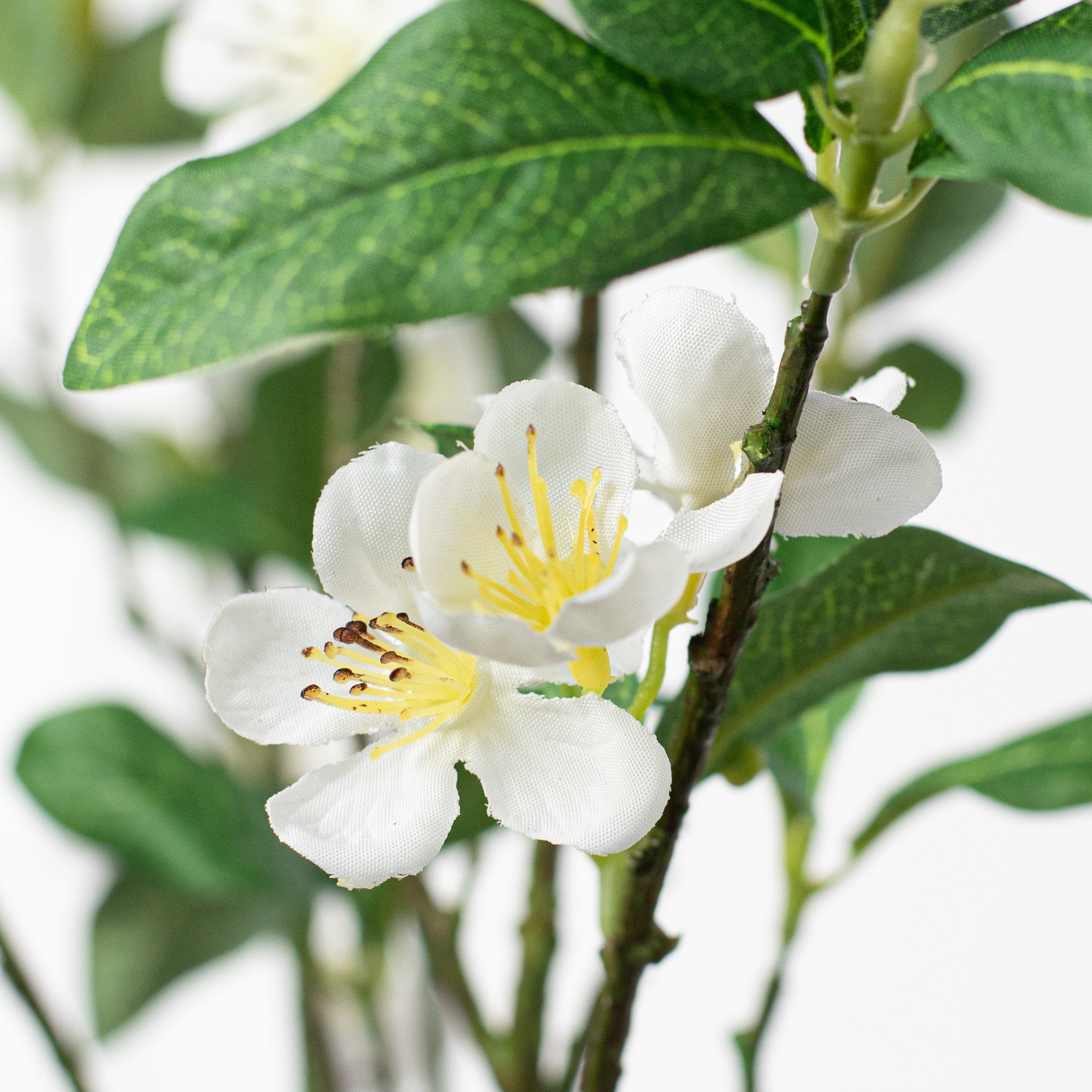 34" Dogwood Branch Spray: Cream detail photo 4