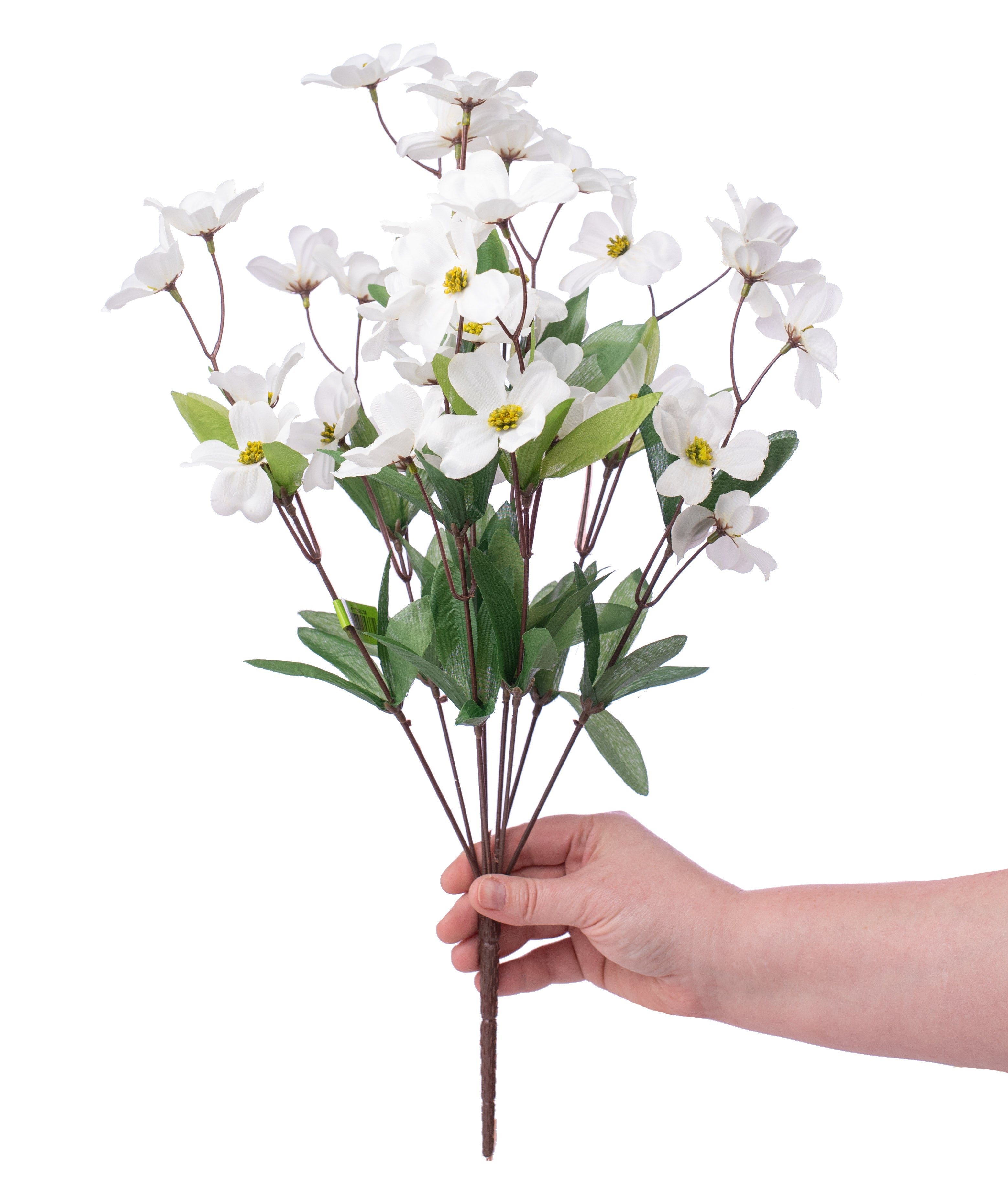 20" Dogwood Bush: Cream Lifestyle Photo