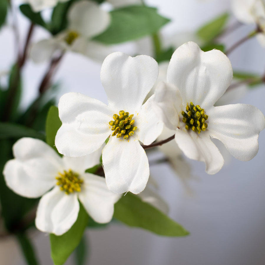 20" Dogwood Bush: Cream detail photo 3