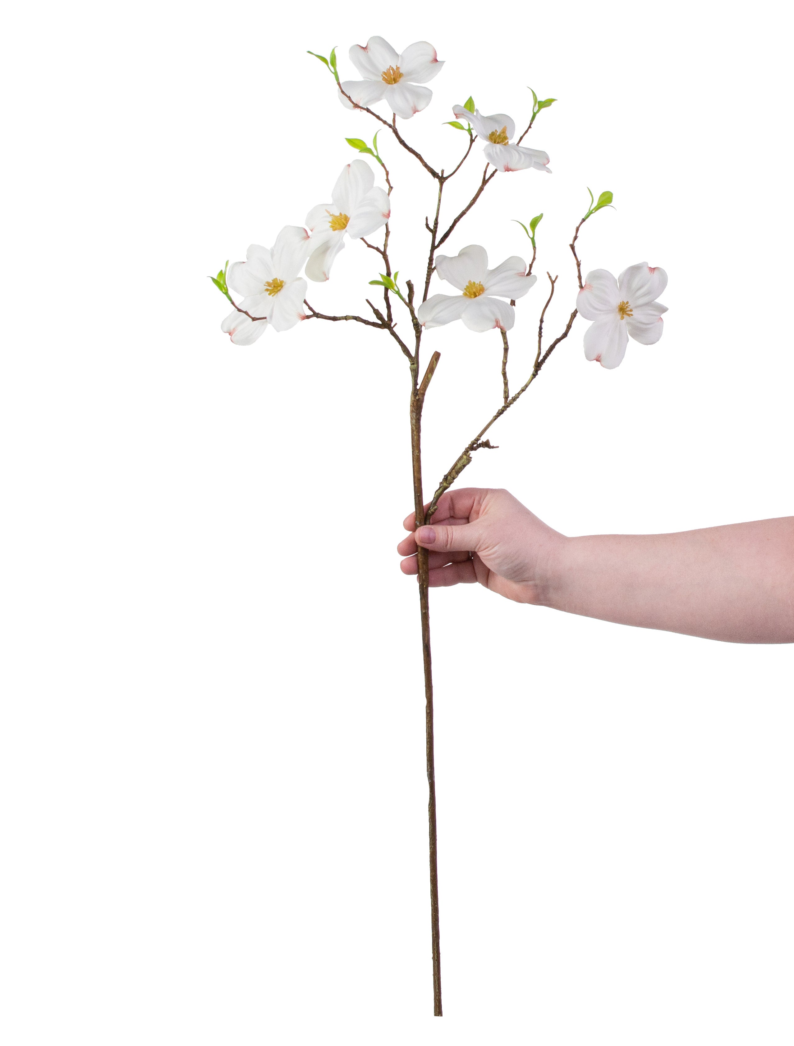 33" Dogwood Flower Spray: White detail photo 3