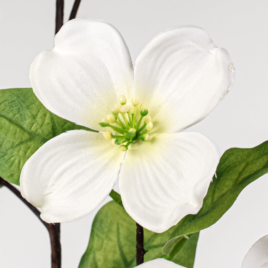 41" Dogwood Spray: Cream Lifestyle Photo