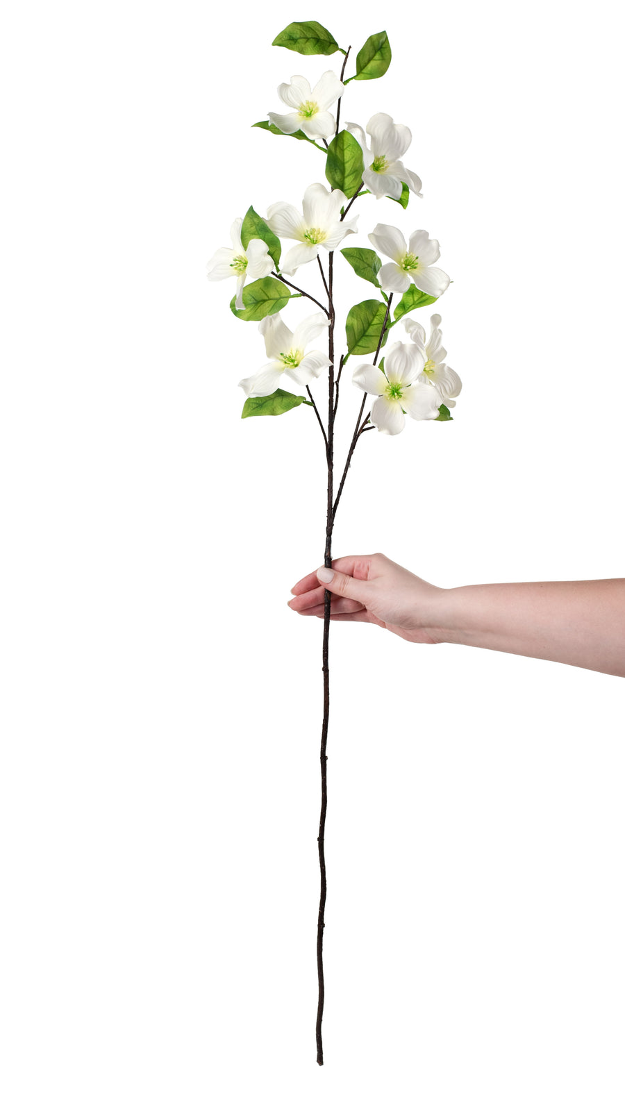 41" Dogwood Spray: Cream detail photo 3