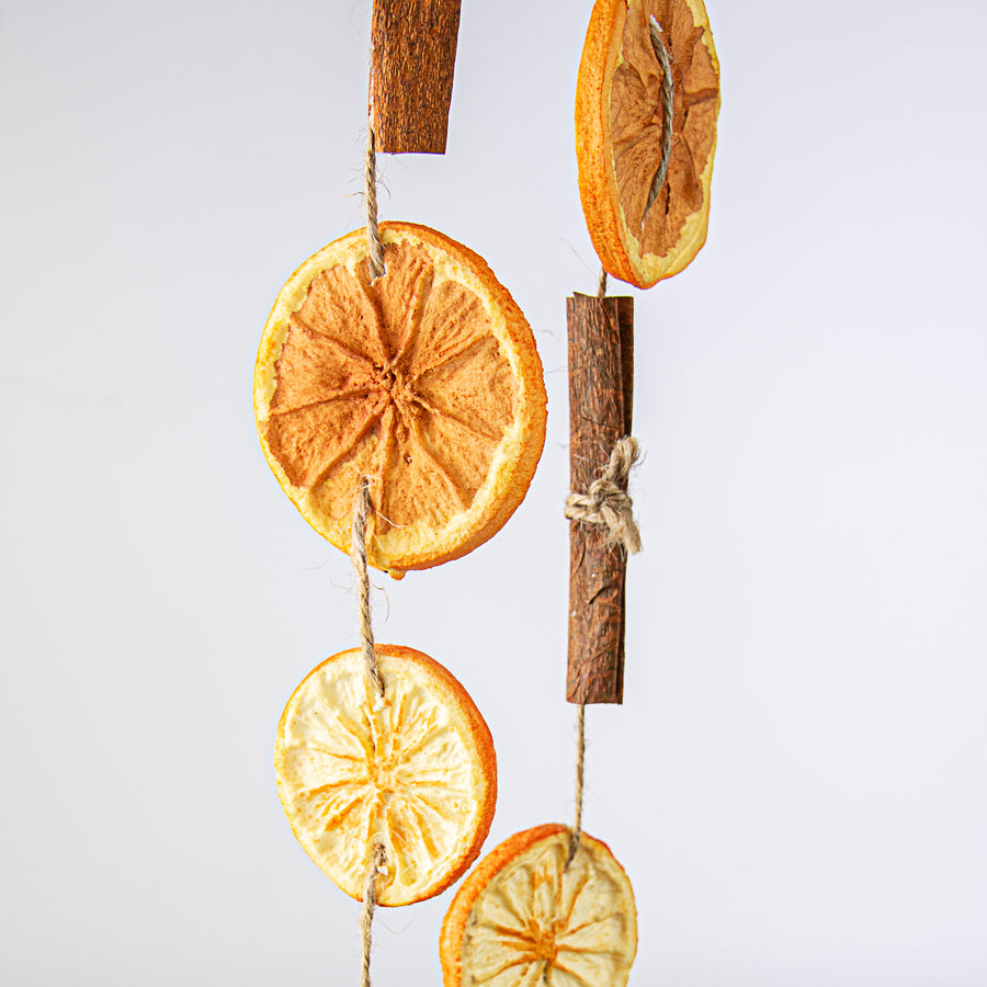 5' Dried Orange, Lemon, Cinnamon Spice Garland detail photo 3