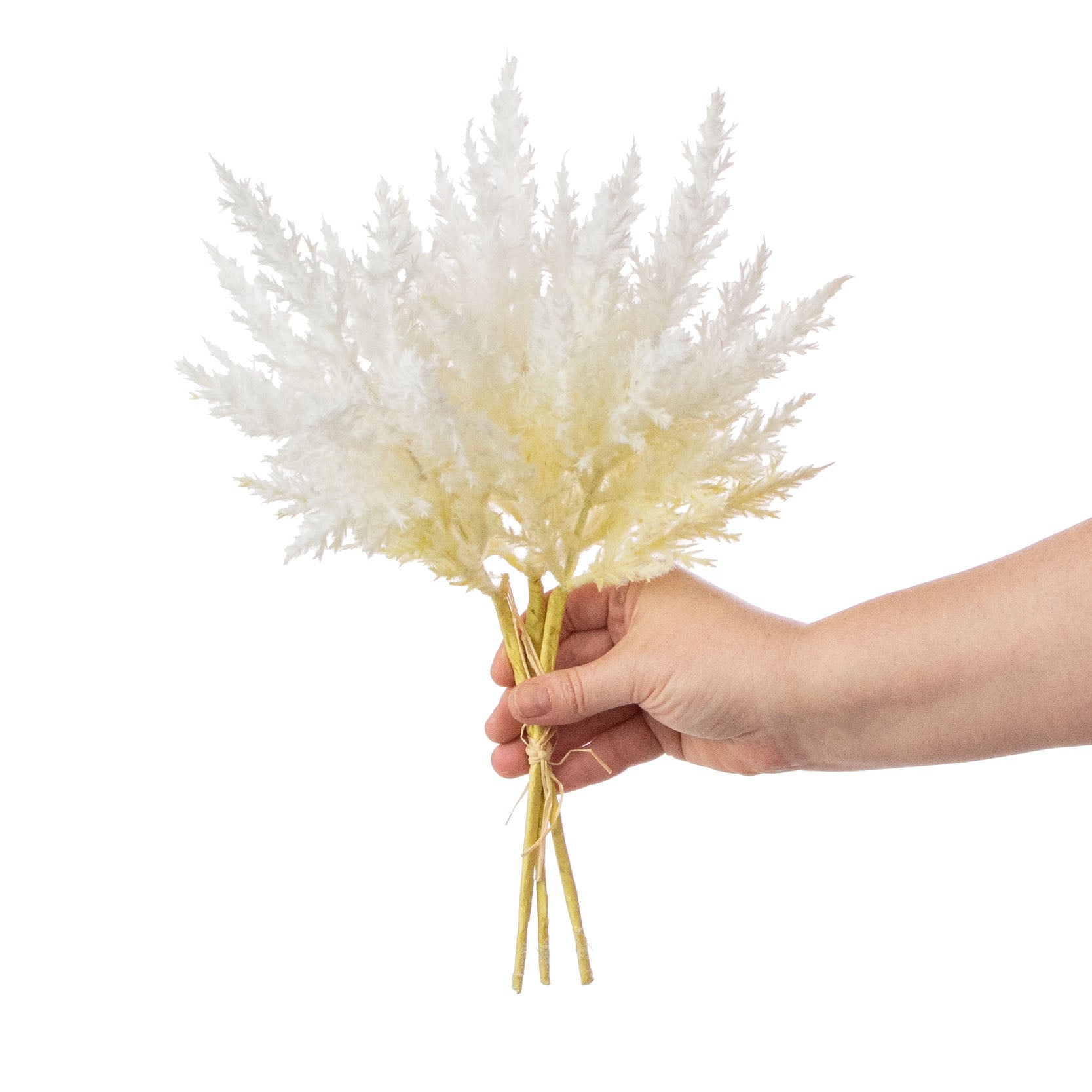 12" Dried Pampas Grass Bundle: Bleached detail photo 3