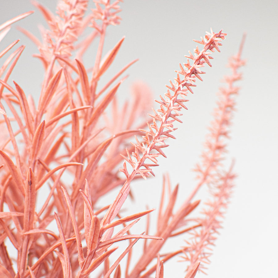 33" Dried Wheat Grass Spray: Pink Lifestyle Photo