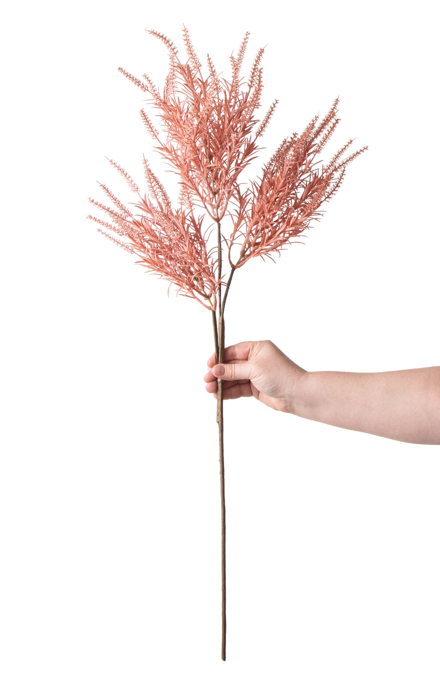 33" Dried Wheat Grass Spray: Pink detail photo 3