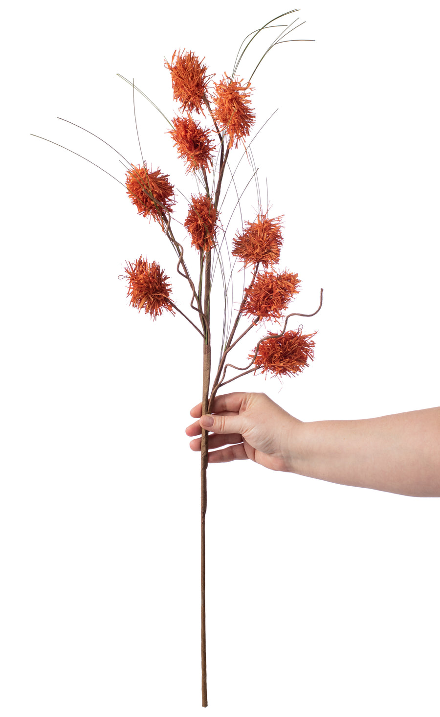 28" Dry Sisal Grass Spray Lifestyle Photo