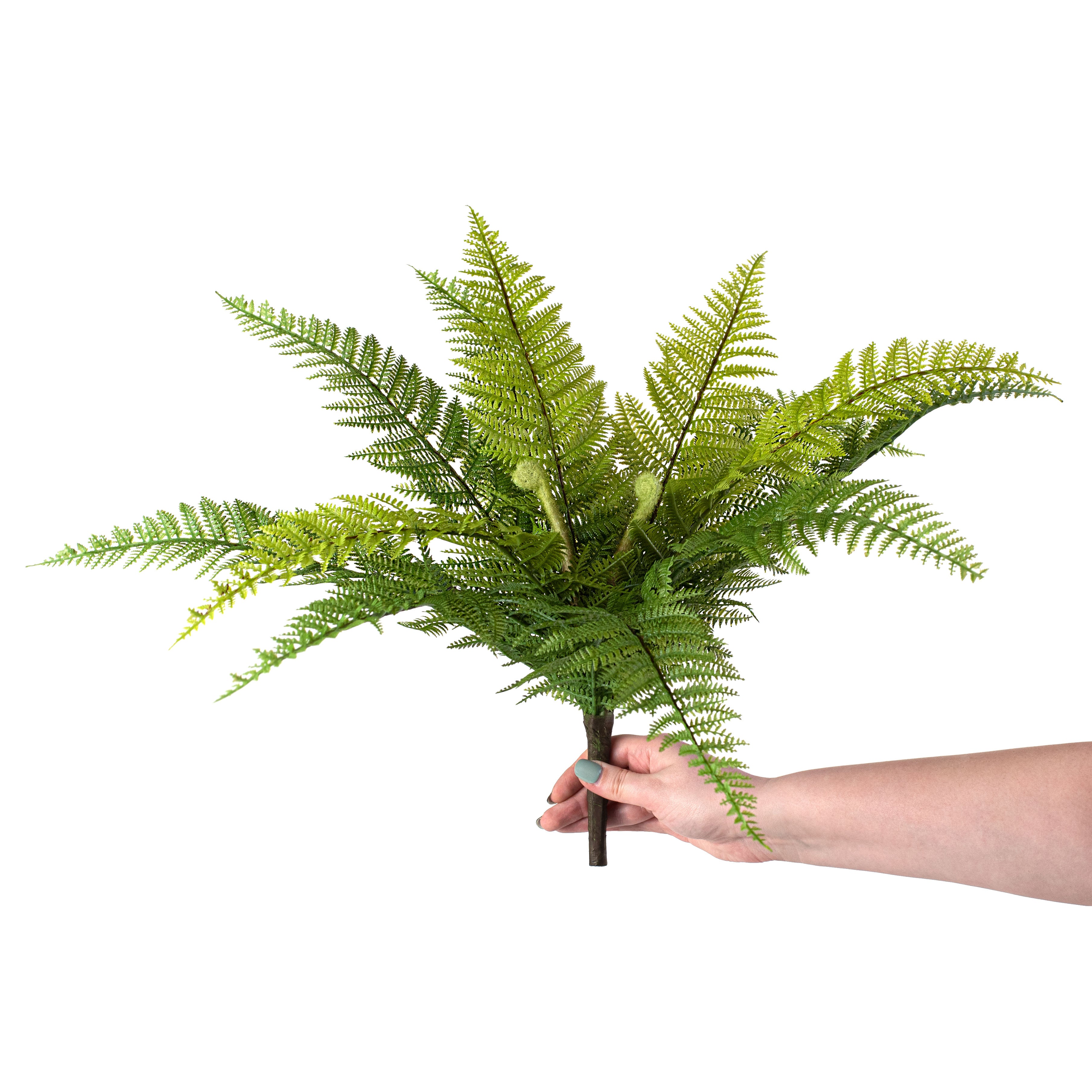 18" Dryopteris Fern Bush detail photo 3
