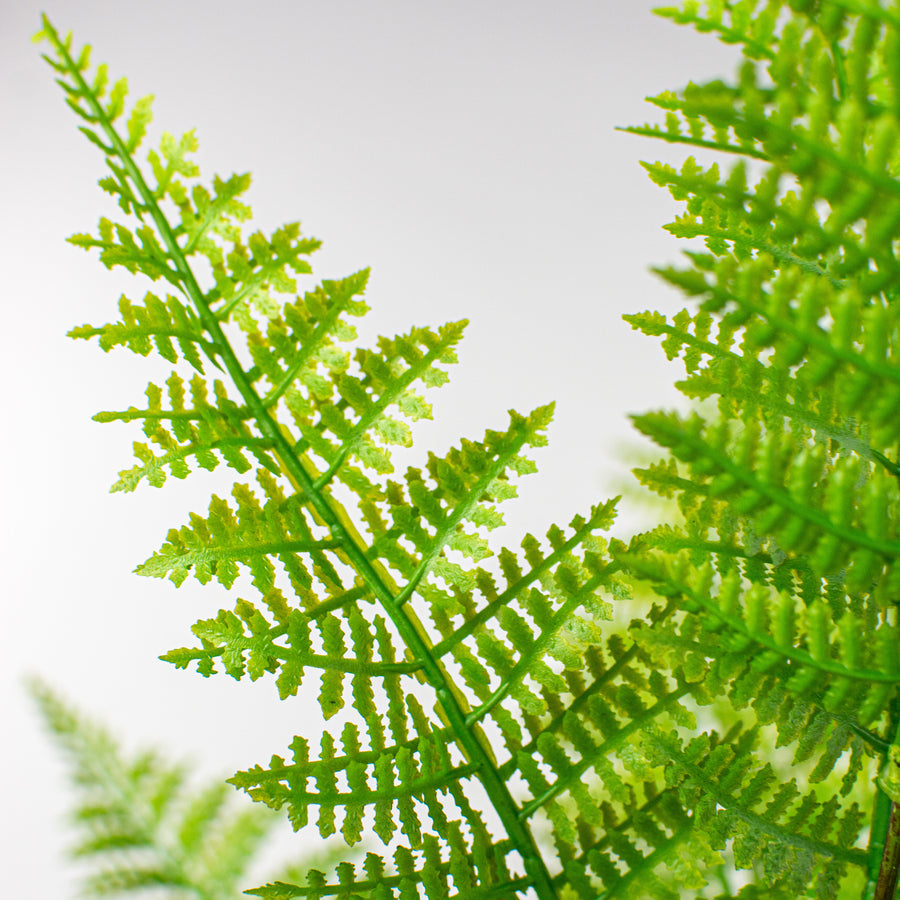 27" Dryopteris Fern Spray Lifestyle Photo