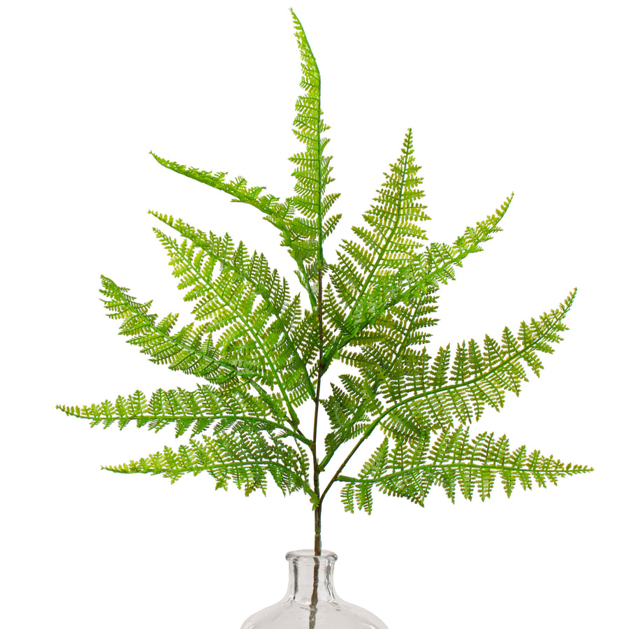 27" Dryopteris Fern Spray Item Number: 2310410GR