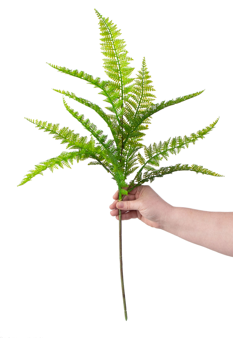 27" Dryopteris Fern Spray detail photo 3
