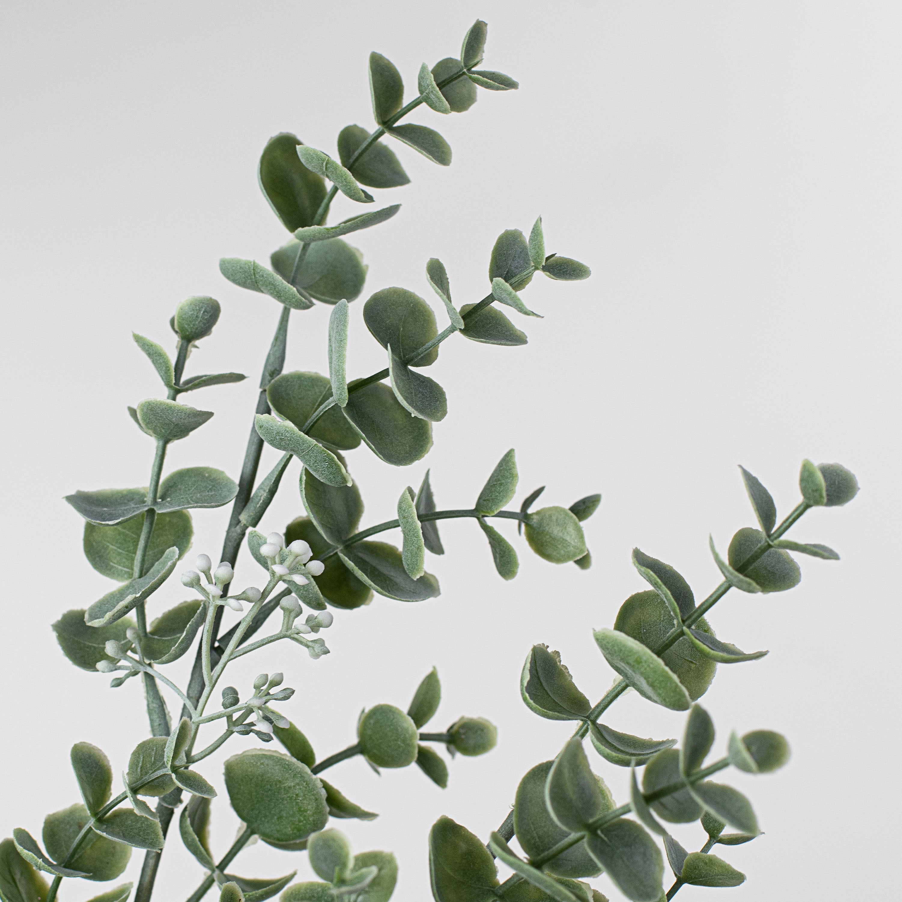 23" Dusty Eucalyptus Spray Lifestyle Photo