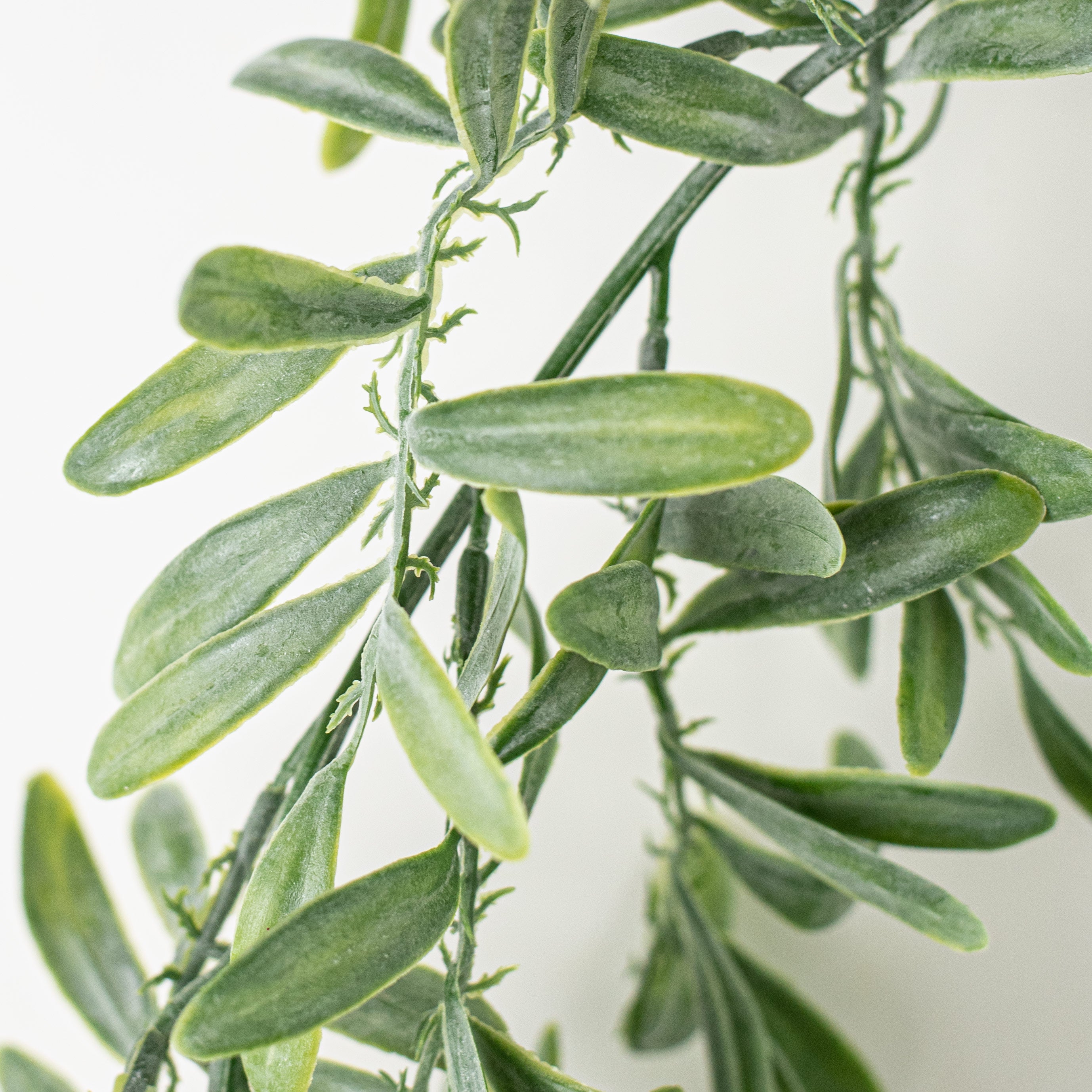 72" Dusty Green Leaf Garland detail photo 5