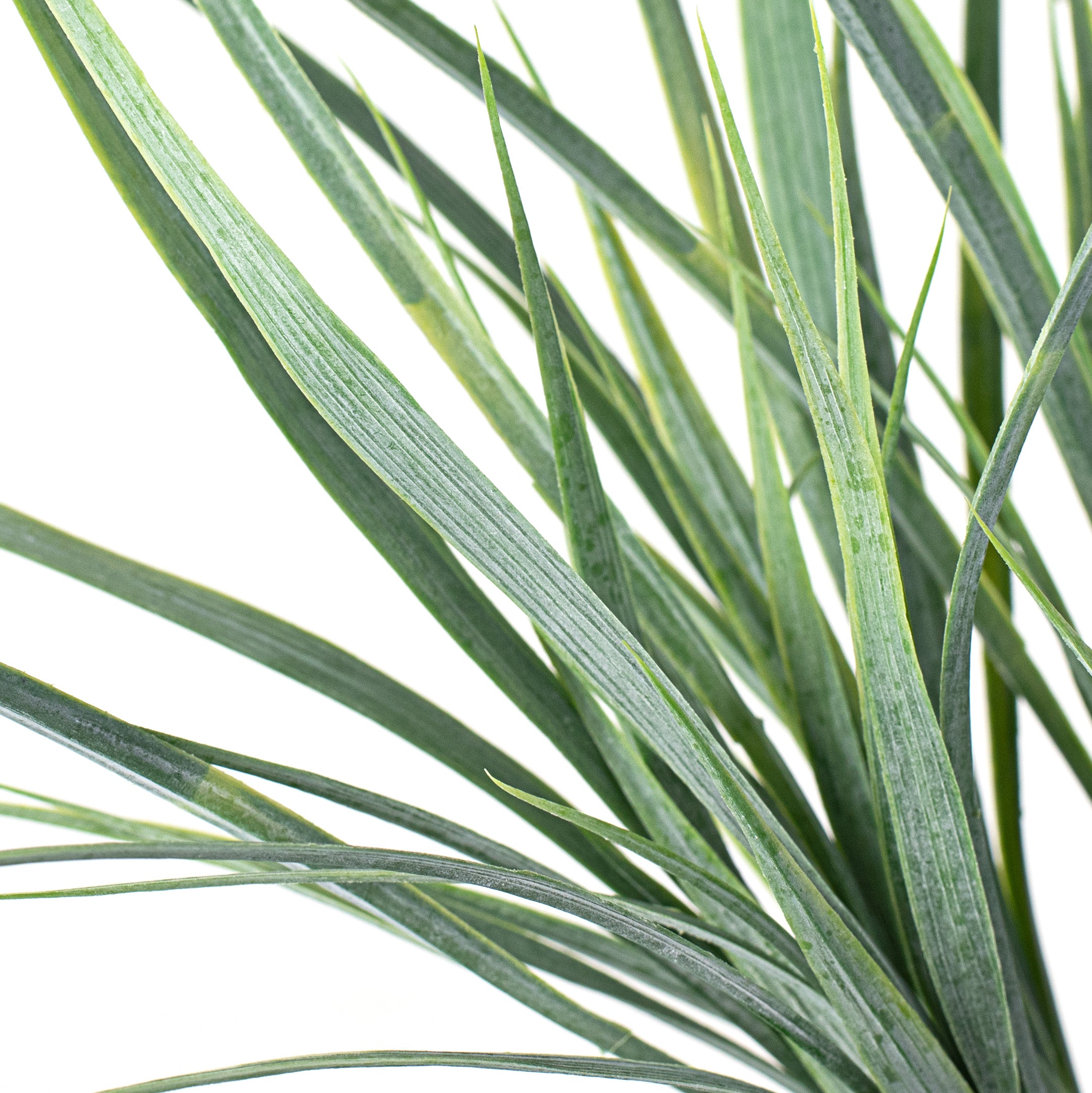 16" Dusty Green Wide Grass Bush Lifestyle Photo
