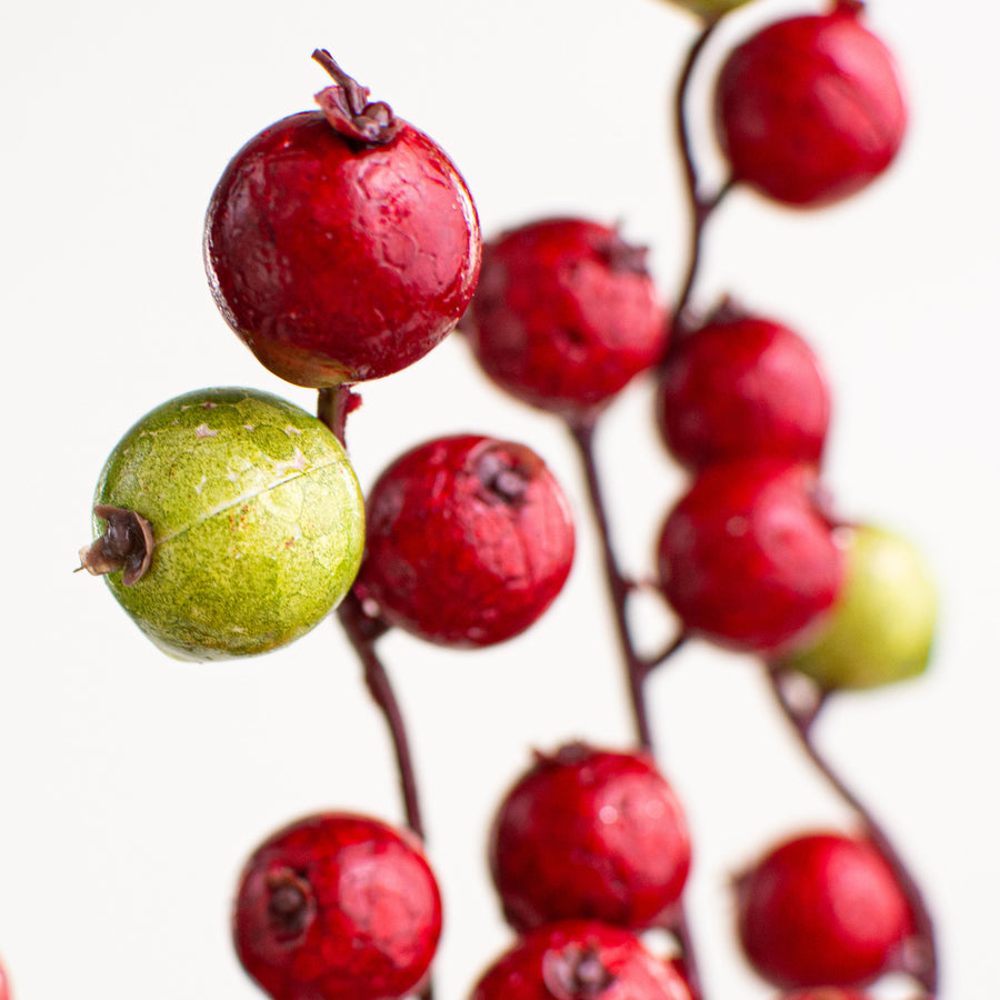 12" Crabapple Berry Pick: Red & Lime Green