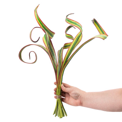 23" Tropical Blade Grass Bundle