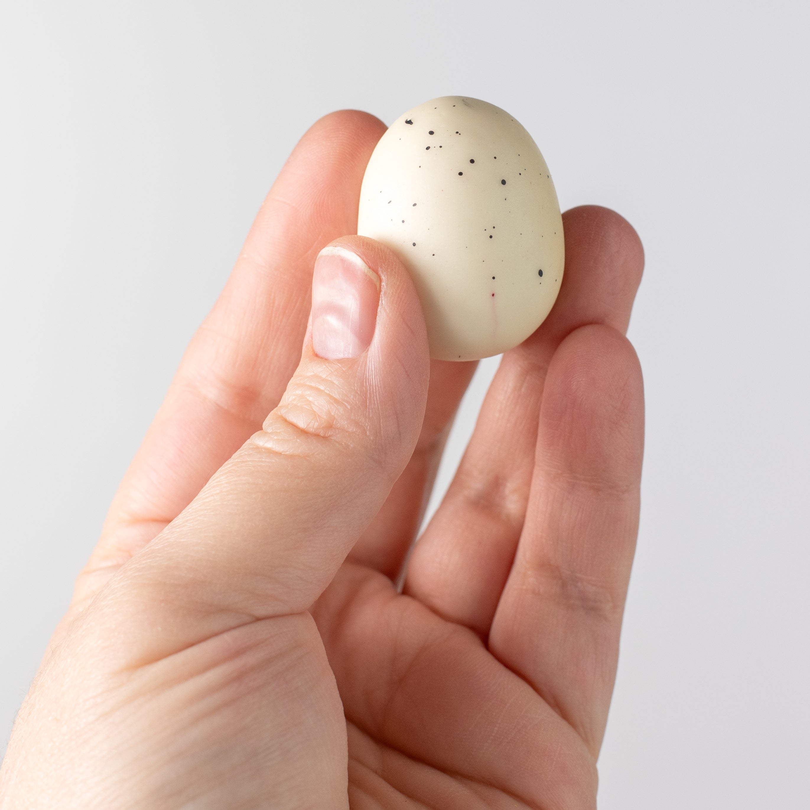 1.5" Eggs: Ivory & Black (12) Lifestyle Photo