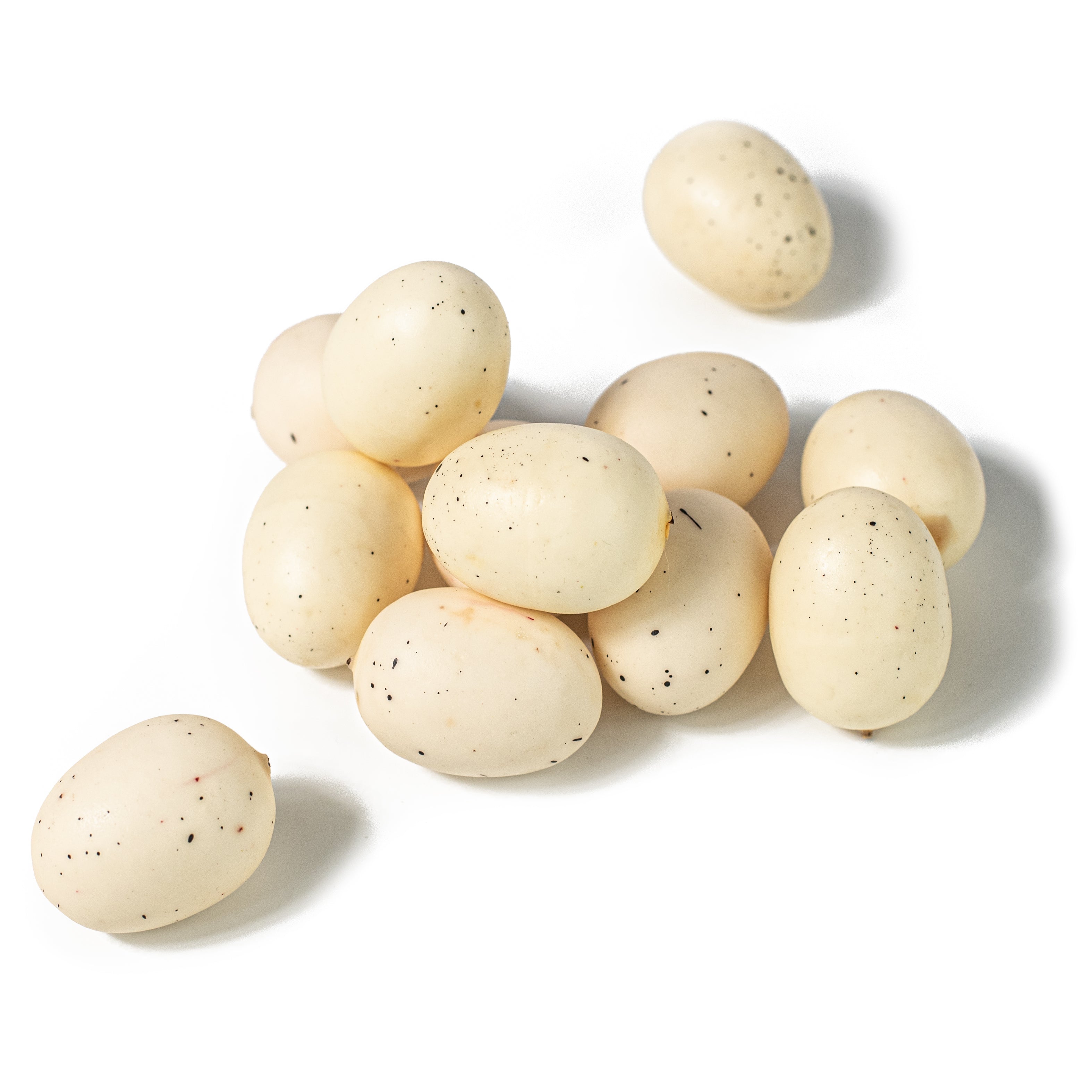 1.5" Eggs: Ivory & Black (12) Item Number: MD030346