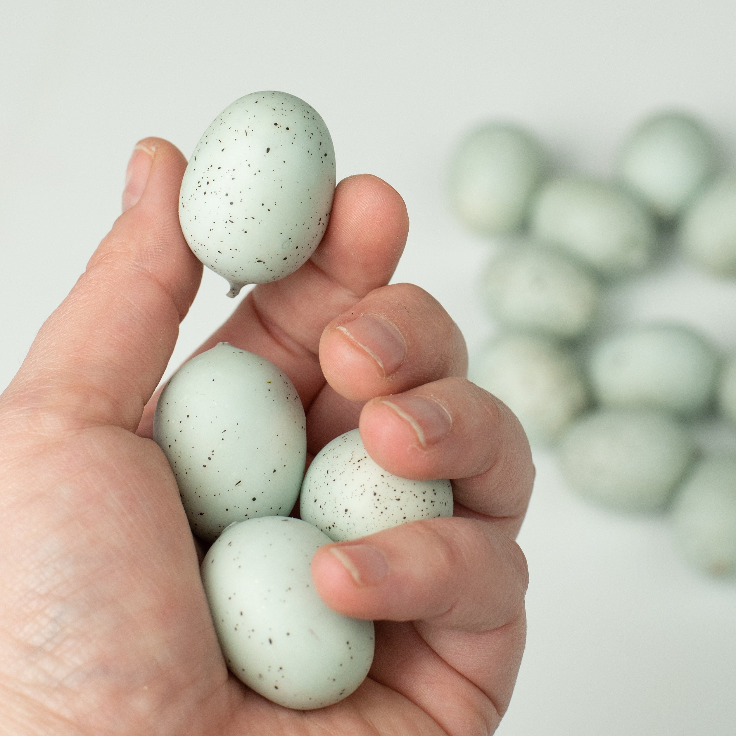1" Eggs: Light Blue & Black (24) Lifestyle Photo