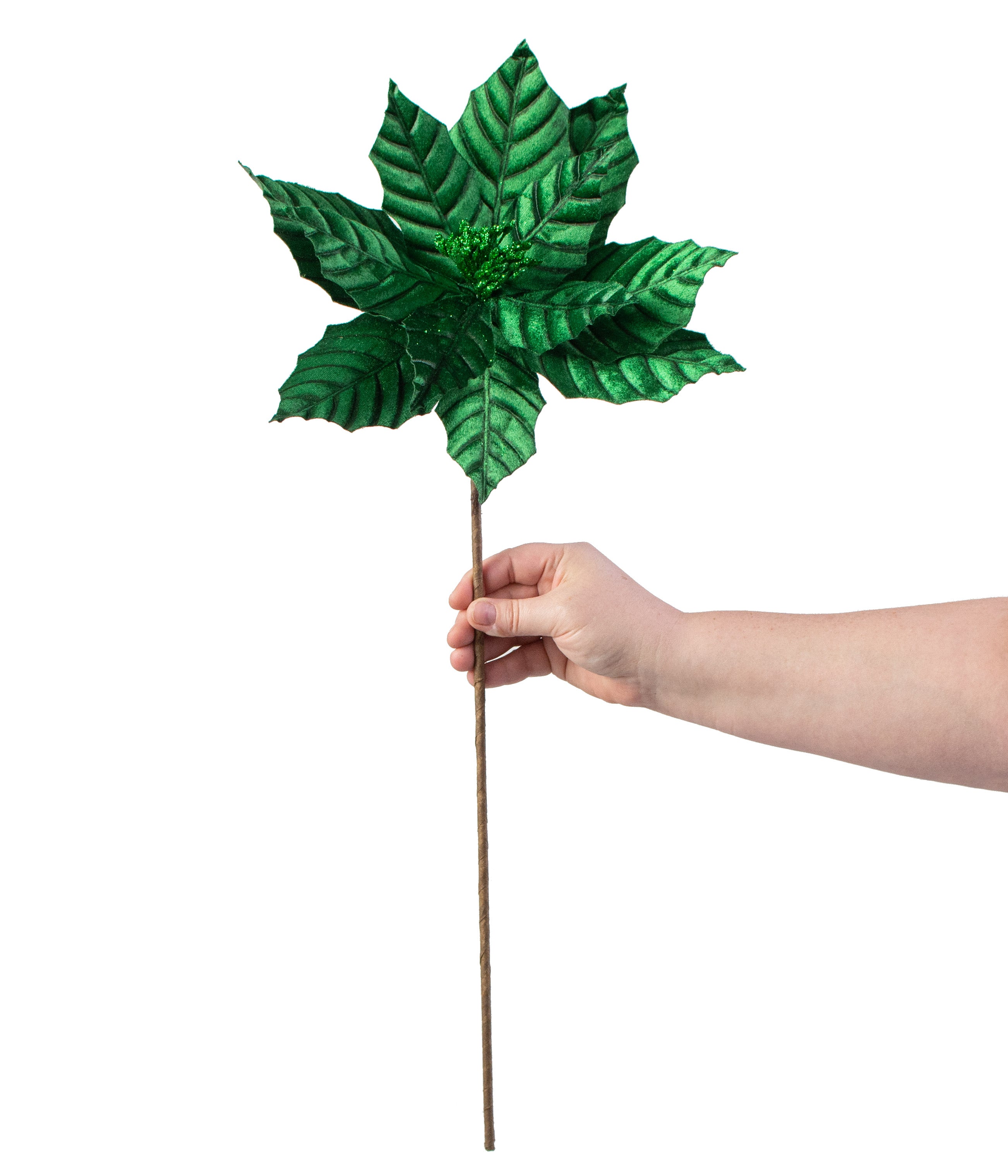 22" Embossed Poinsettia Stem: Emerald detail photo 3