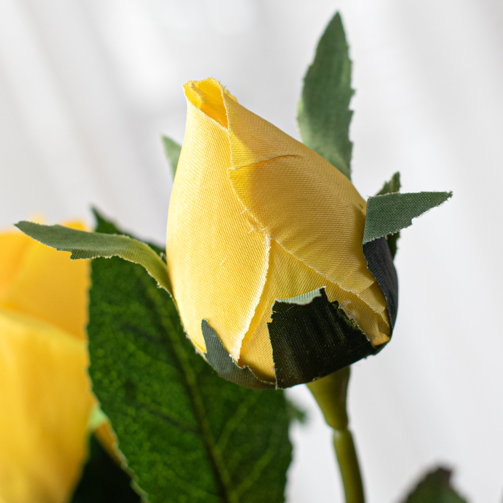 24" Emily Rose Bush: Yellow detail photo 4